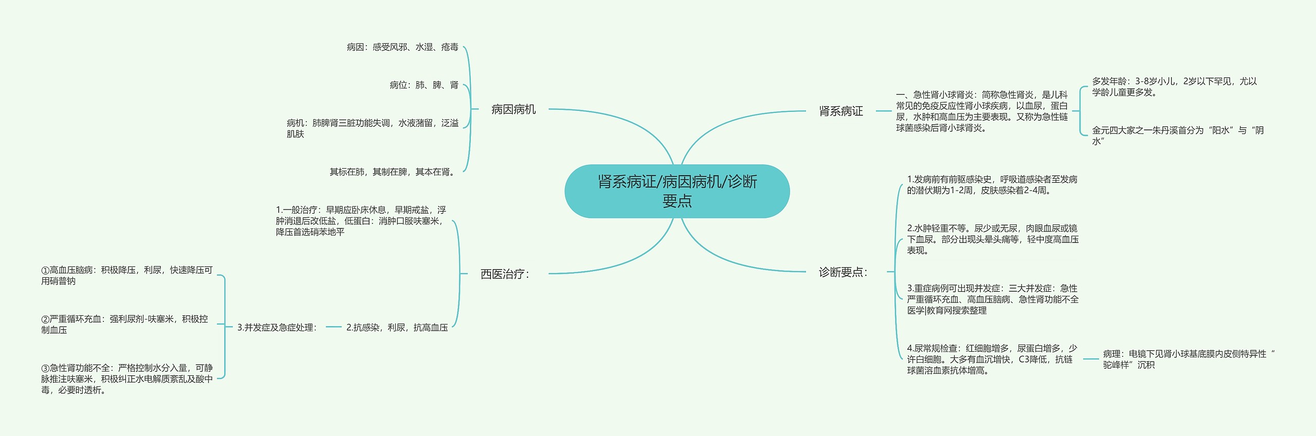 肾系病证/病因病机/诊断要点