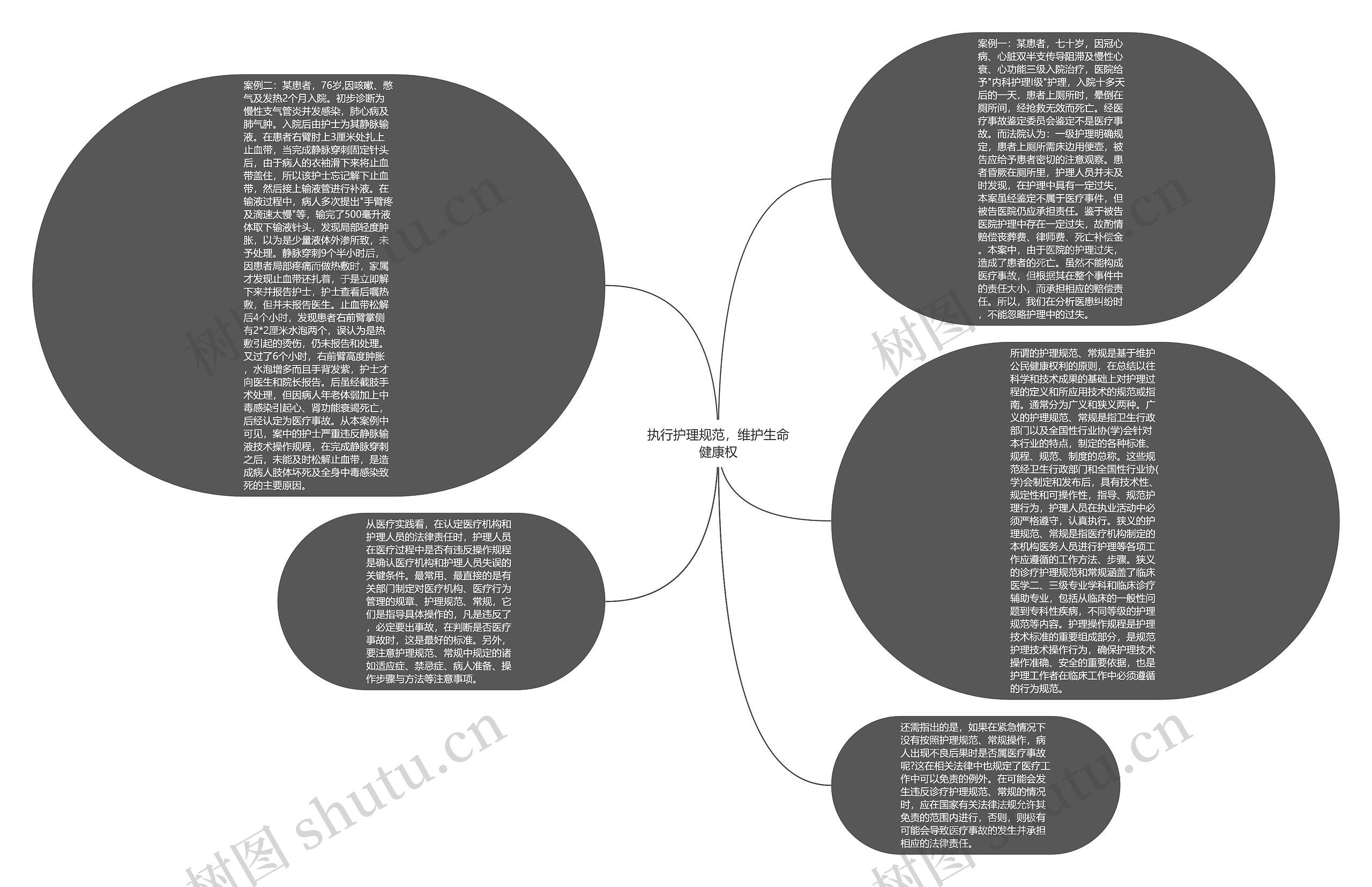 执行护理规范，维护生命健康权思维导图