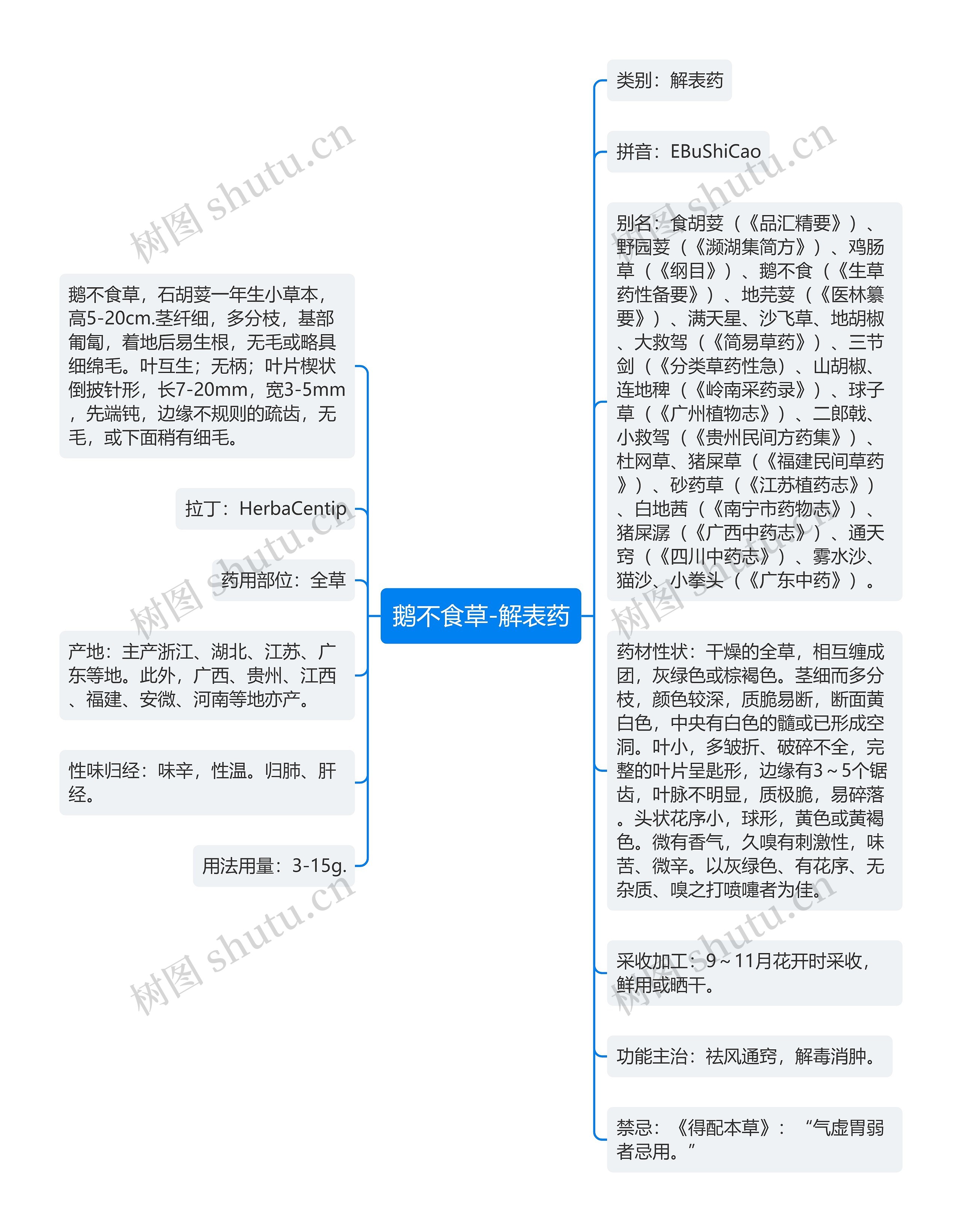 鹅不食草-解表药思维导图