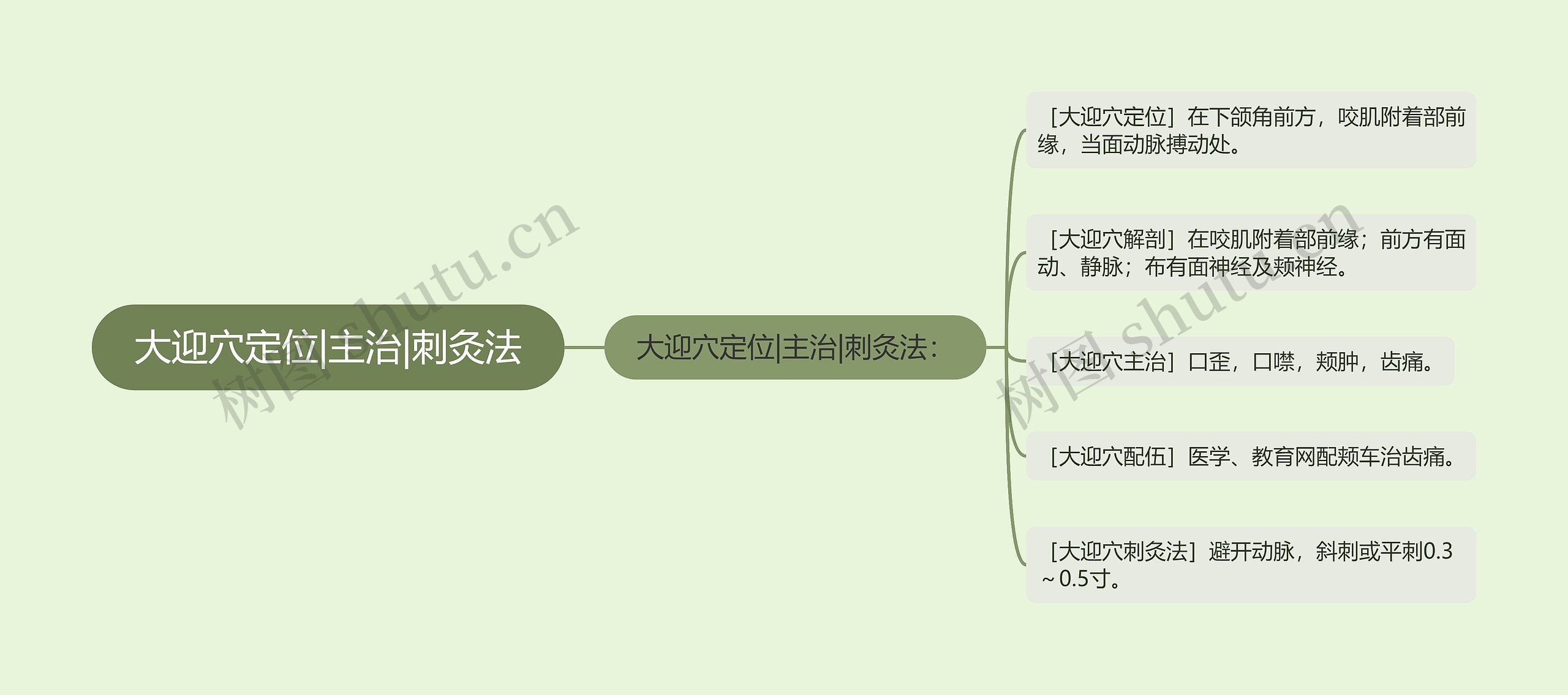 大迎穴定位|主治|刺灸法思维导图