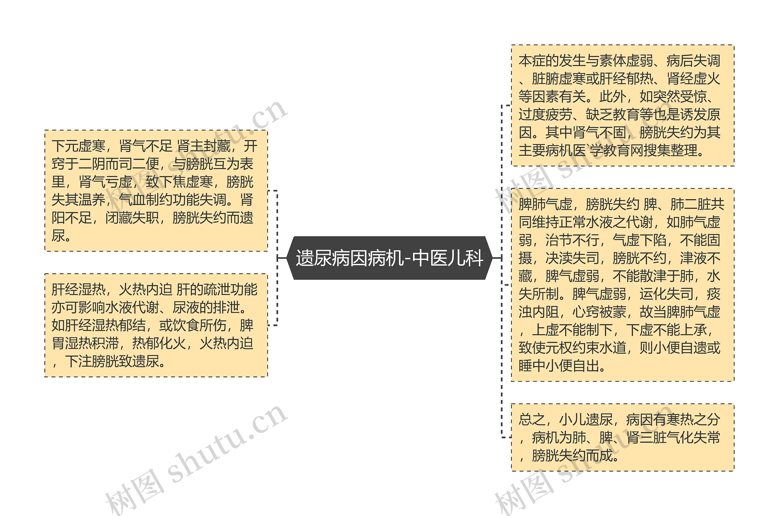 遗尿病因病机-中医儿科思维导图