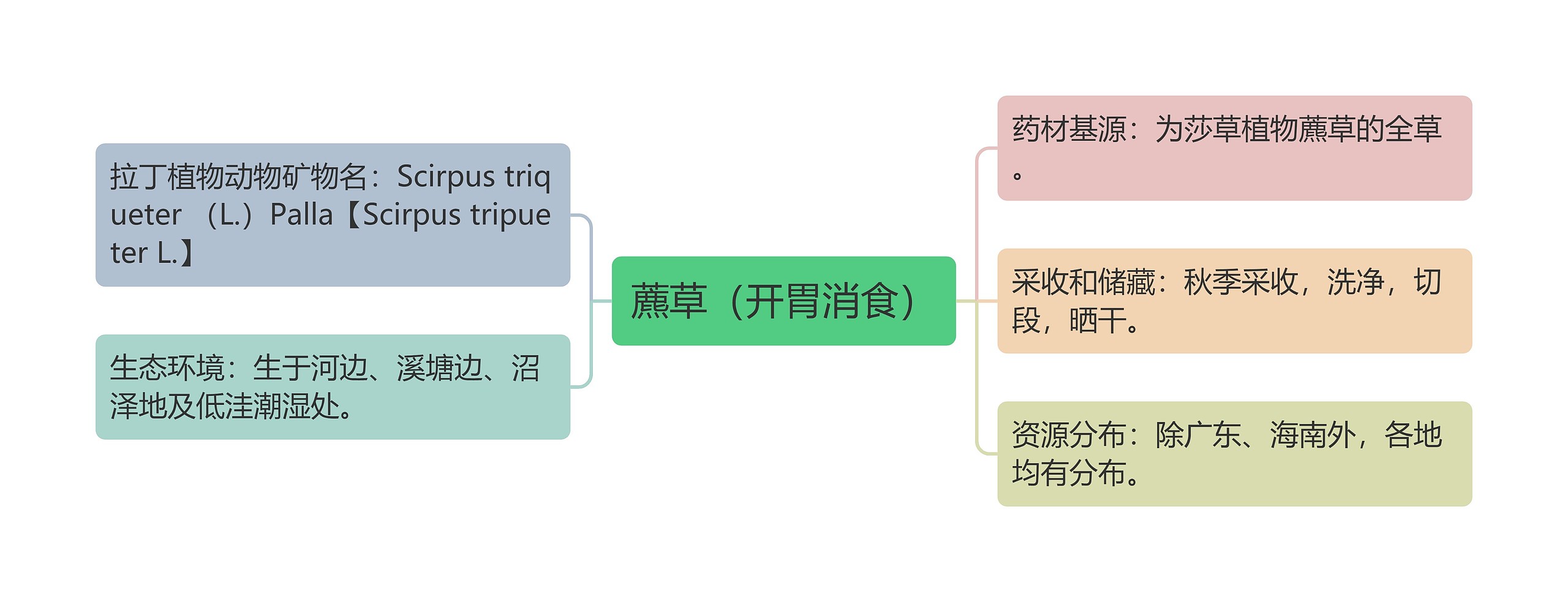 藨草（开胃消食）思维导图