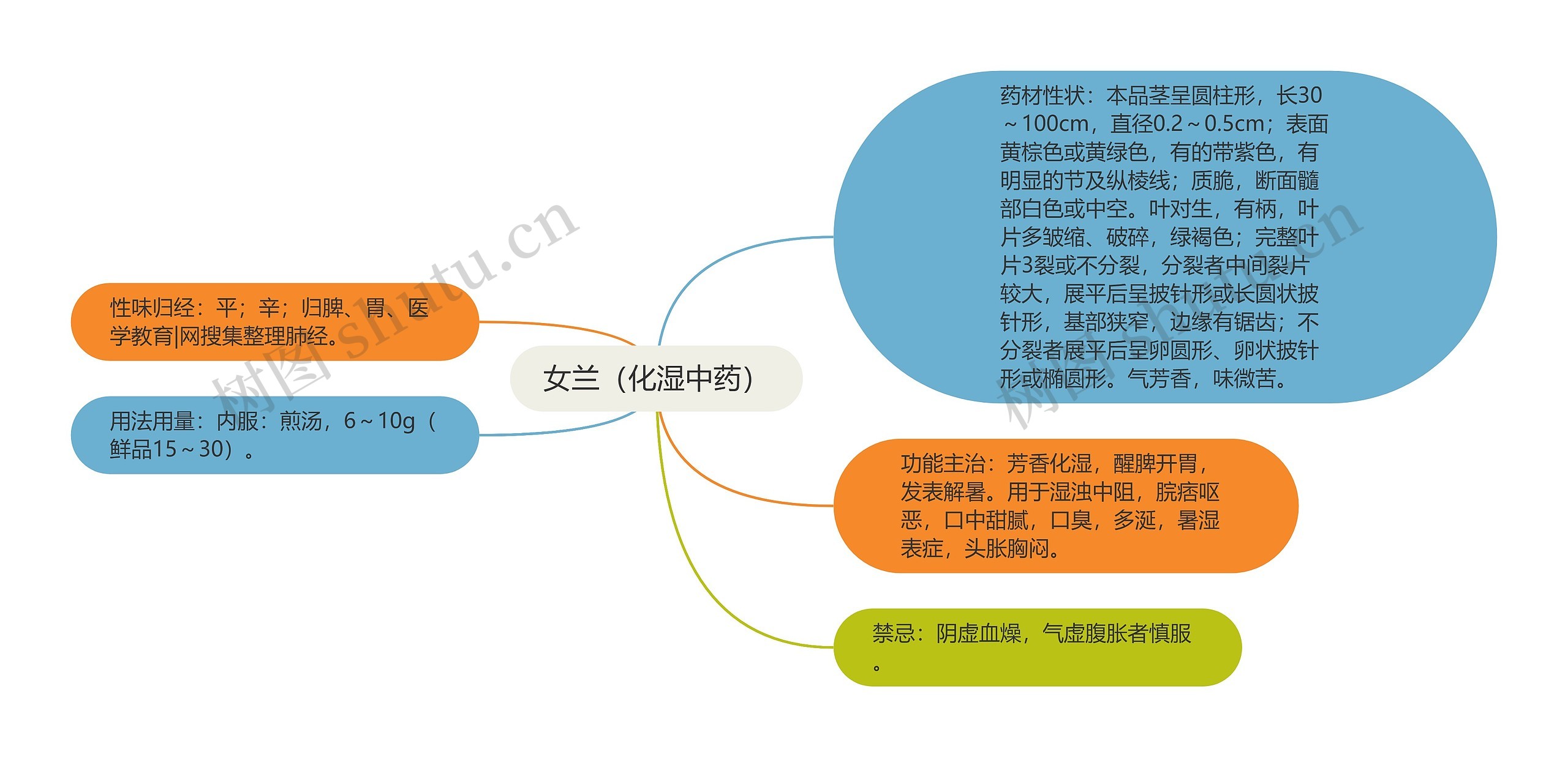 女兰（化湿中药）思维导图