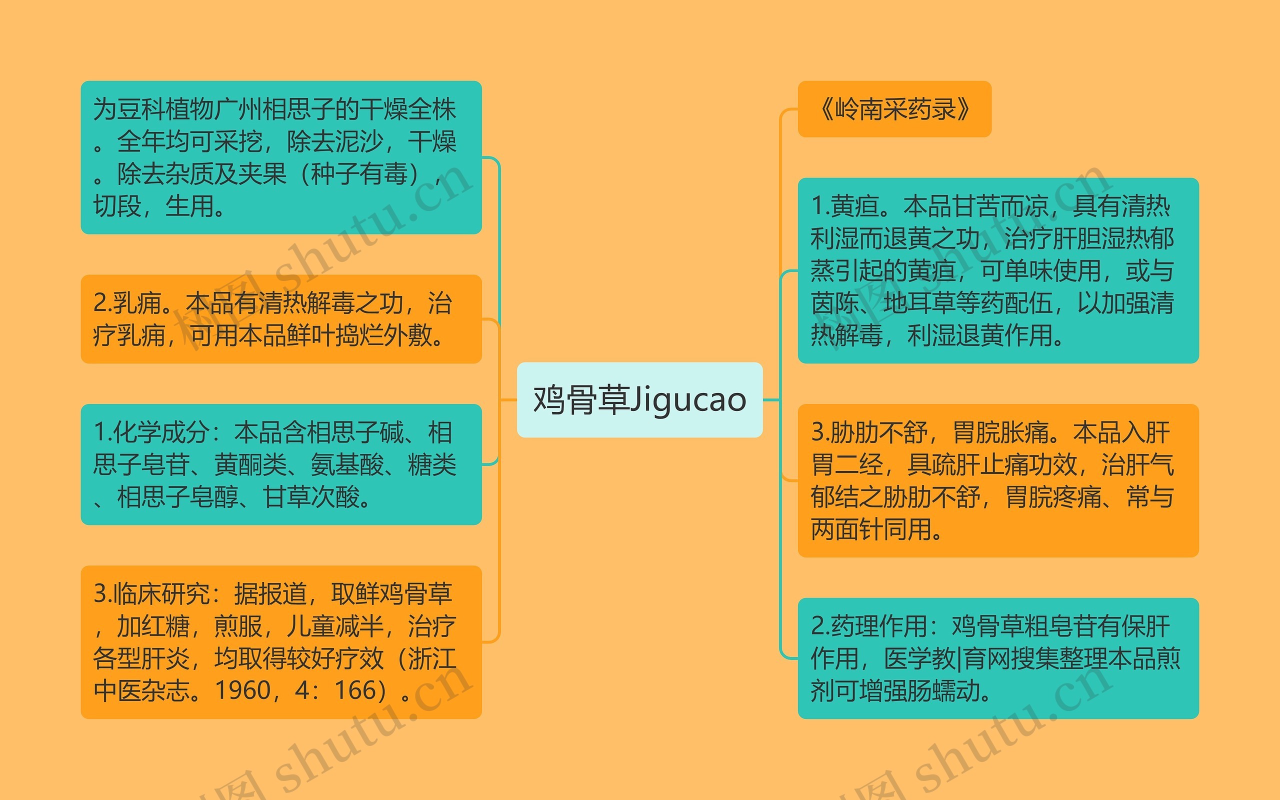 鸡骨草Jigucao思维导图