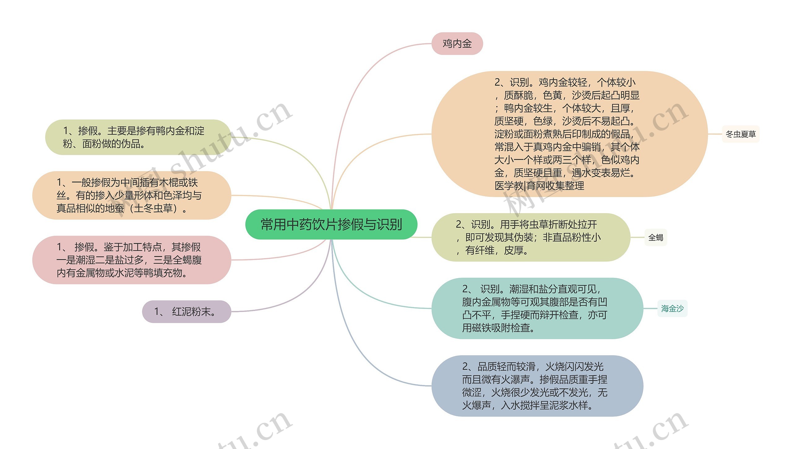 常用中药饮片掺假与识别思维导图