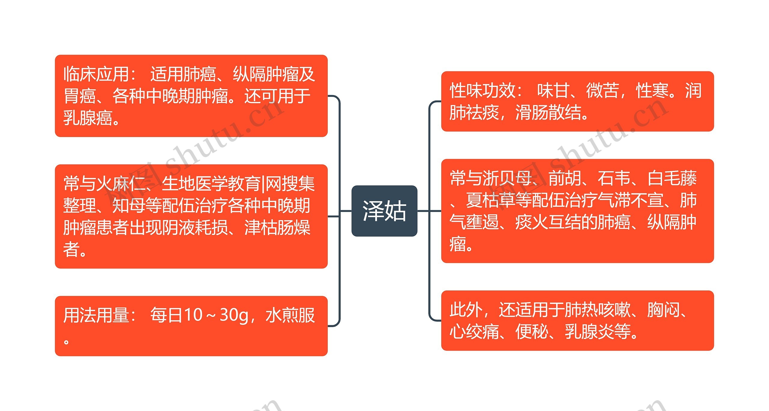 泽姑思维导图