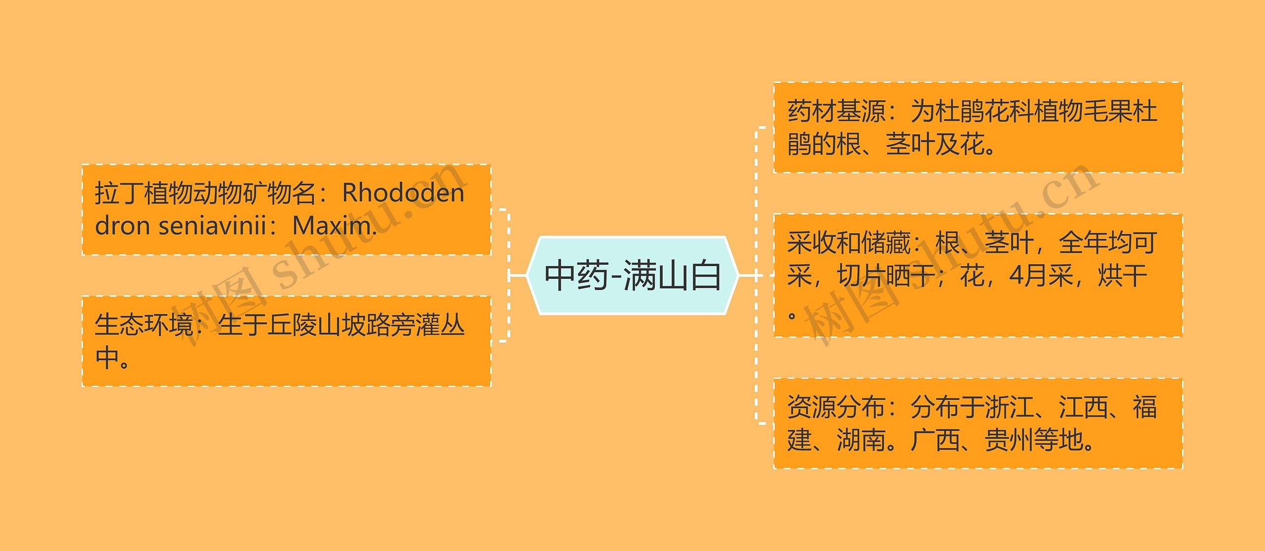 中药-满山白思维导图