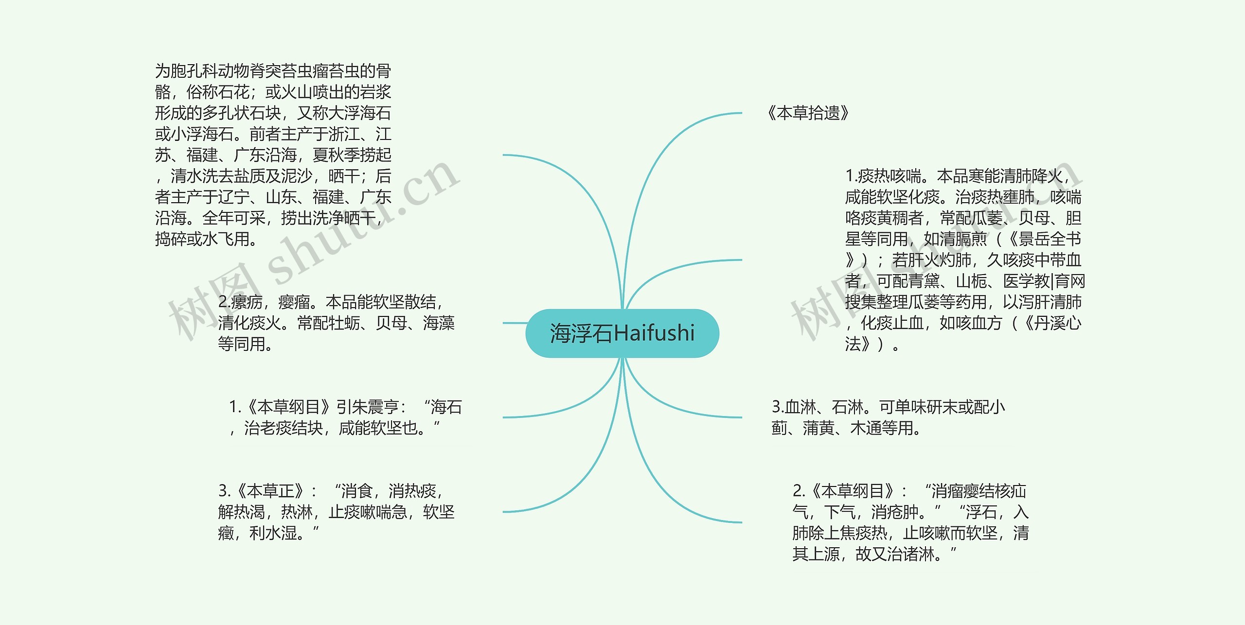 海浮石Haifushi 海浮石Haifushi
