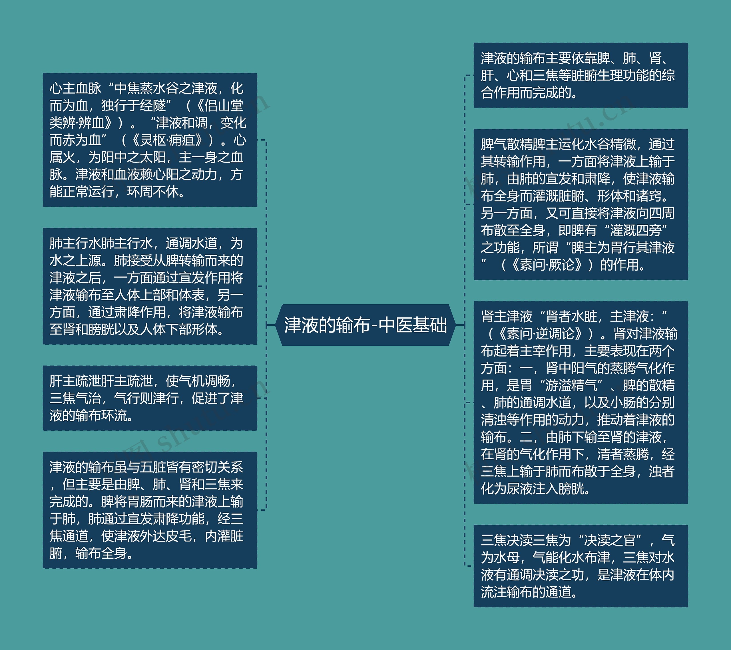 津液的输布-中医基础