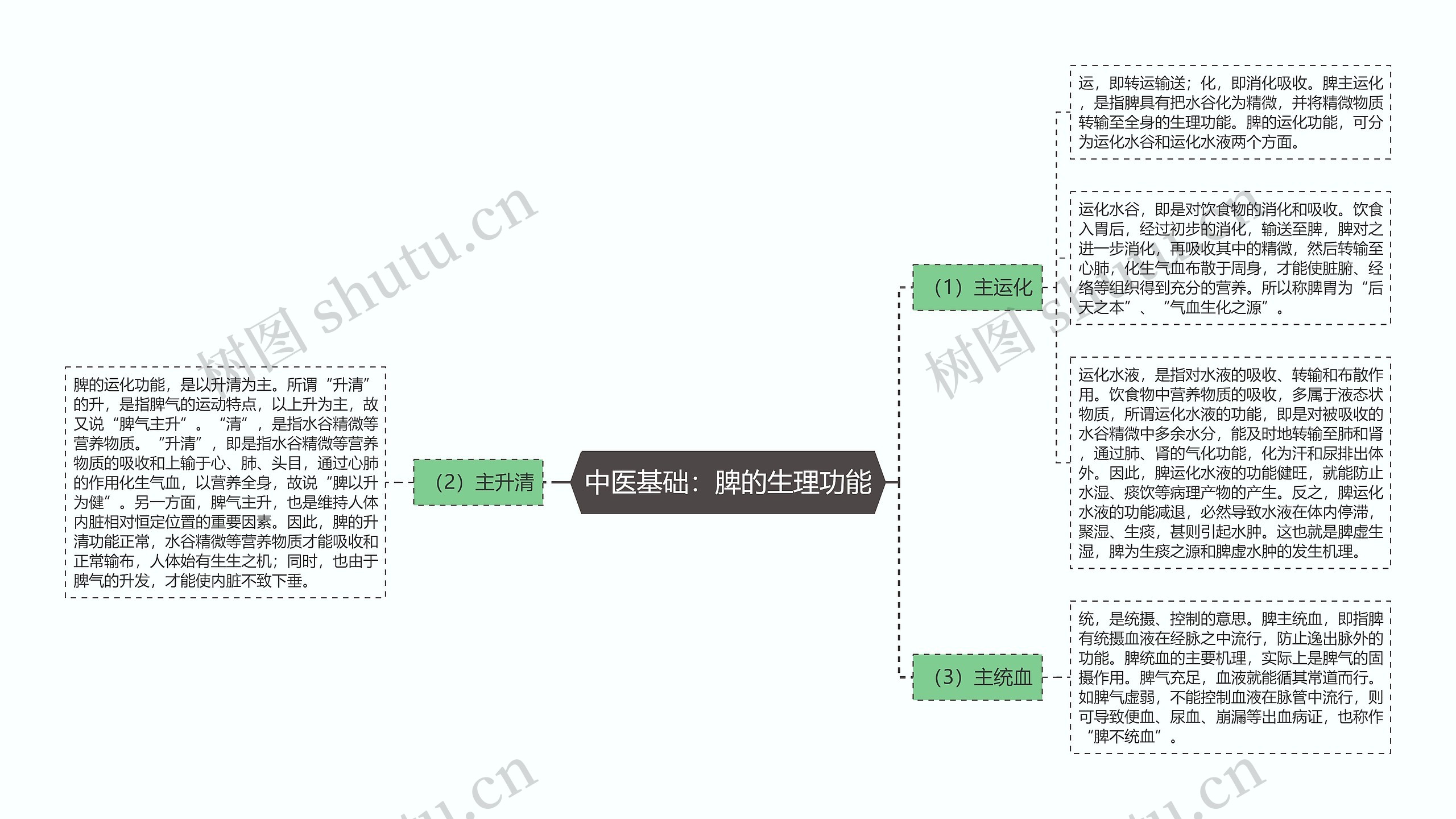 中医基础：脾的生理功能