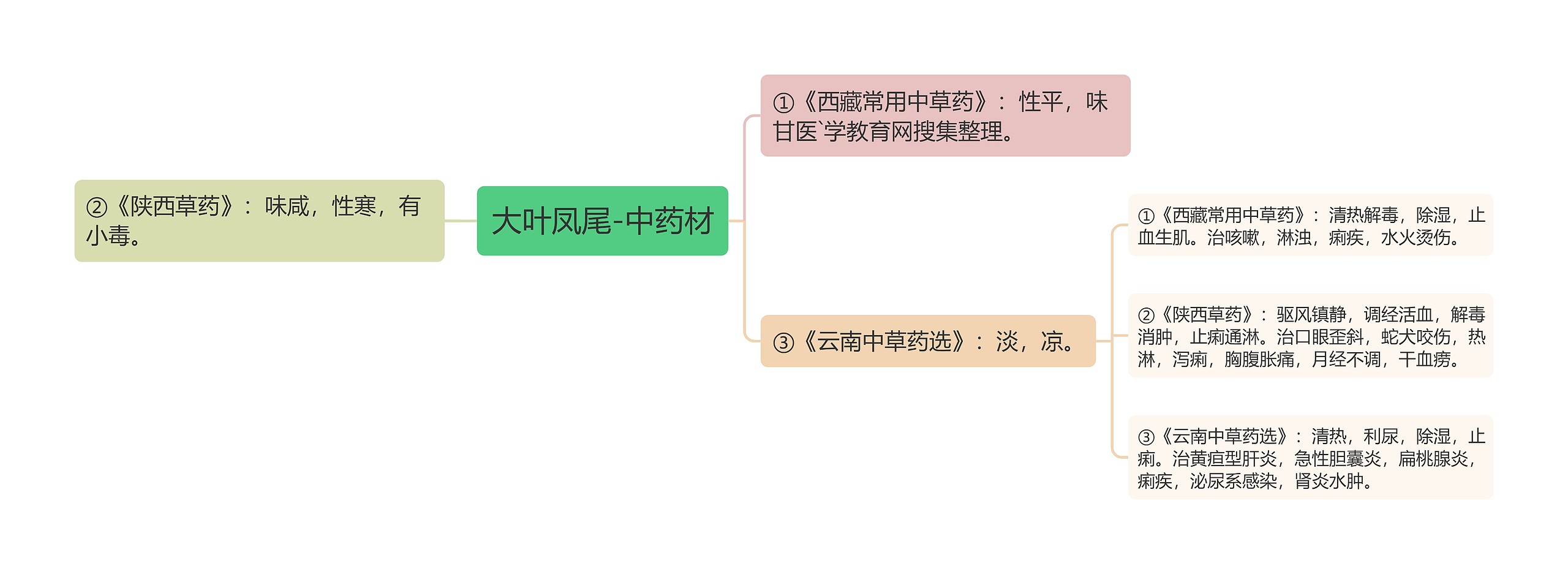 大叶凤尾-中药材思维导图