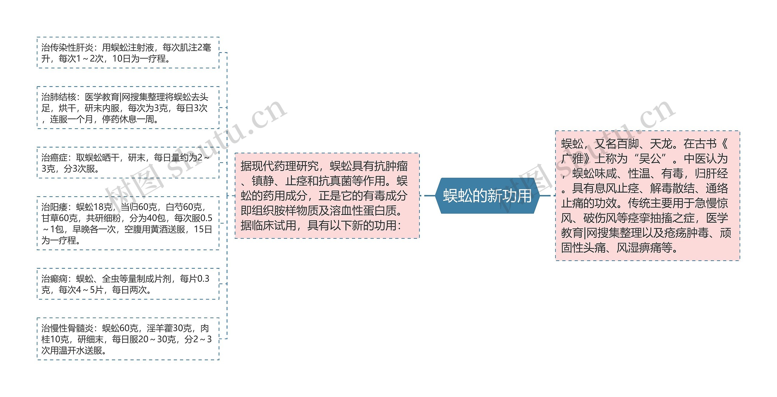 蜈蚣的新功用思维导图