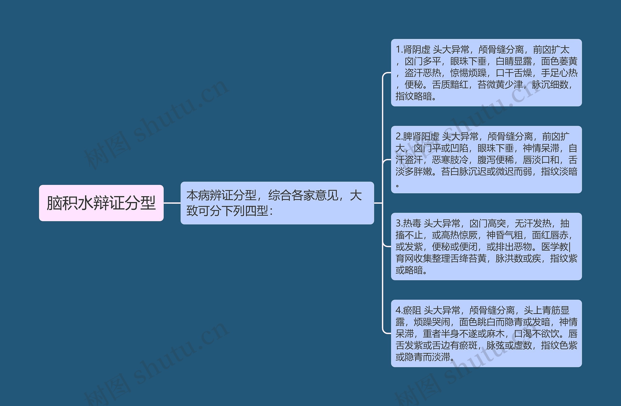 脑积水辩证分型