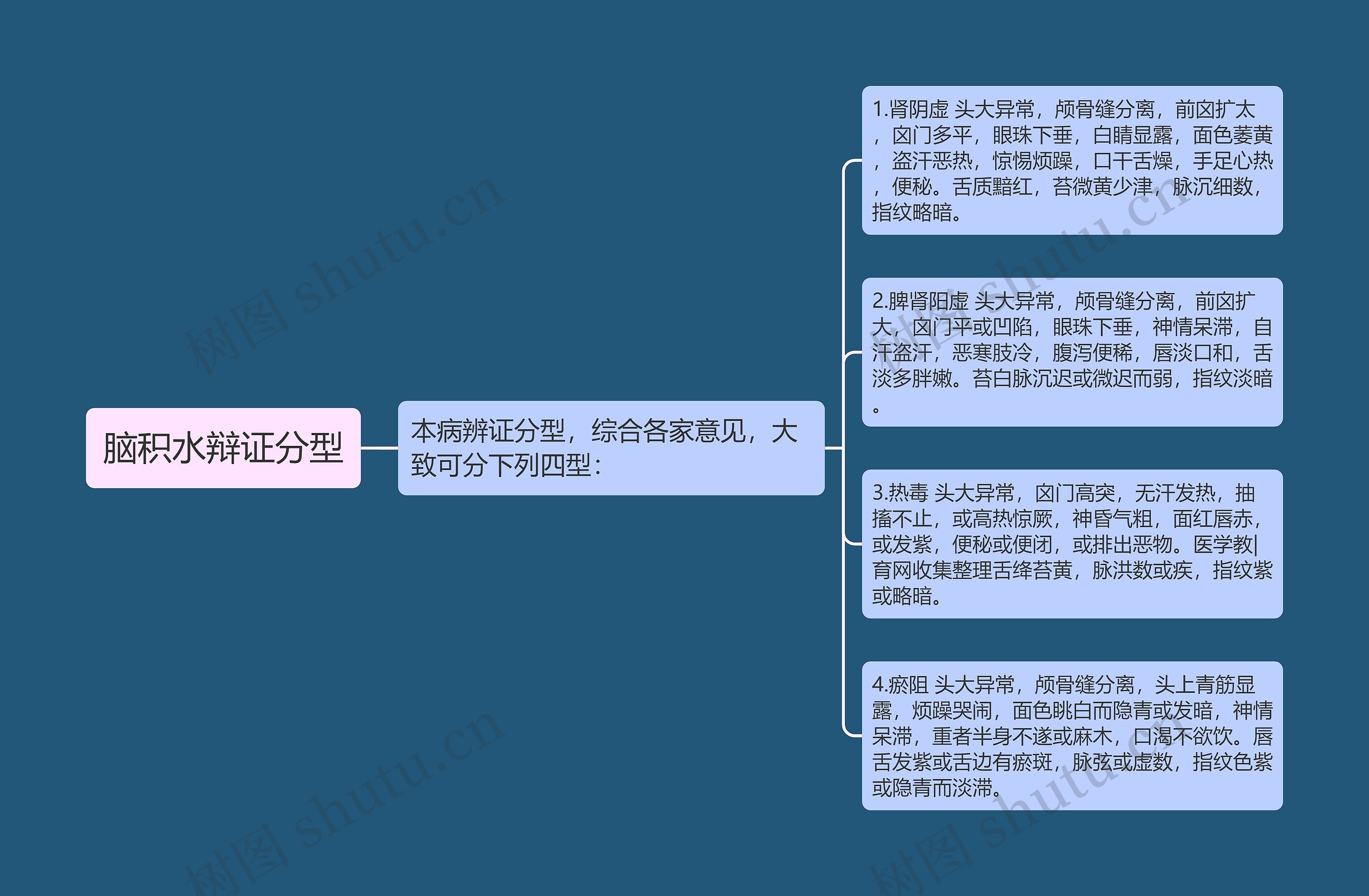 脑积水辩证分型思维导图