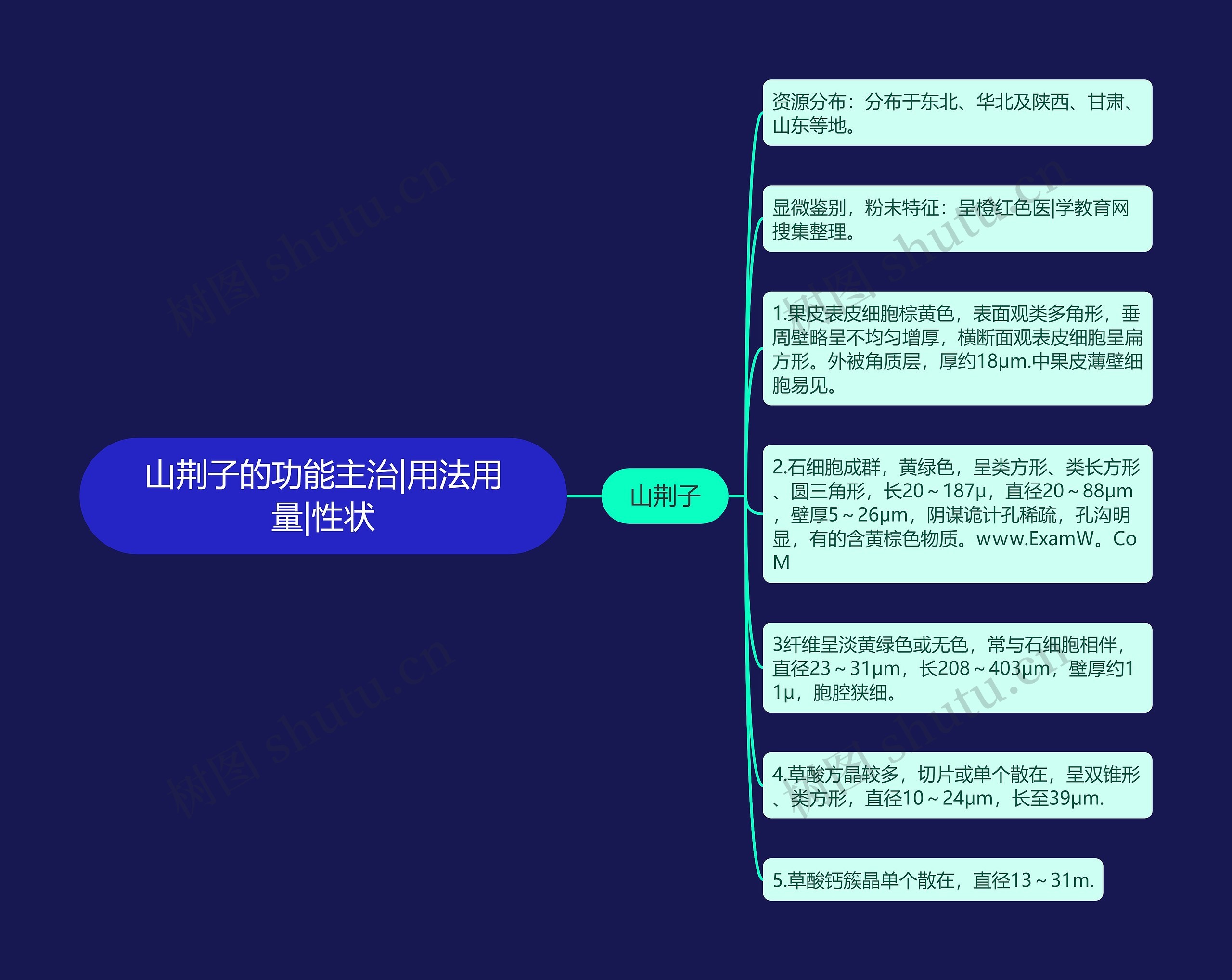 山荆子的功能主治|用法用量|性状思维导图
