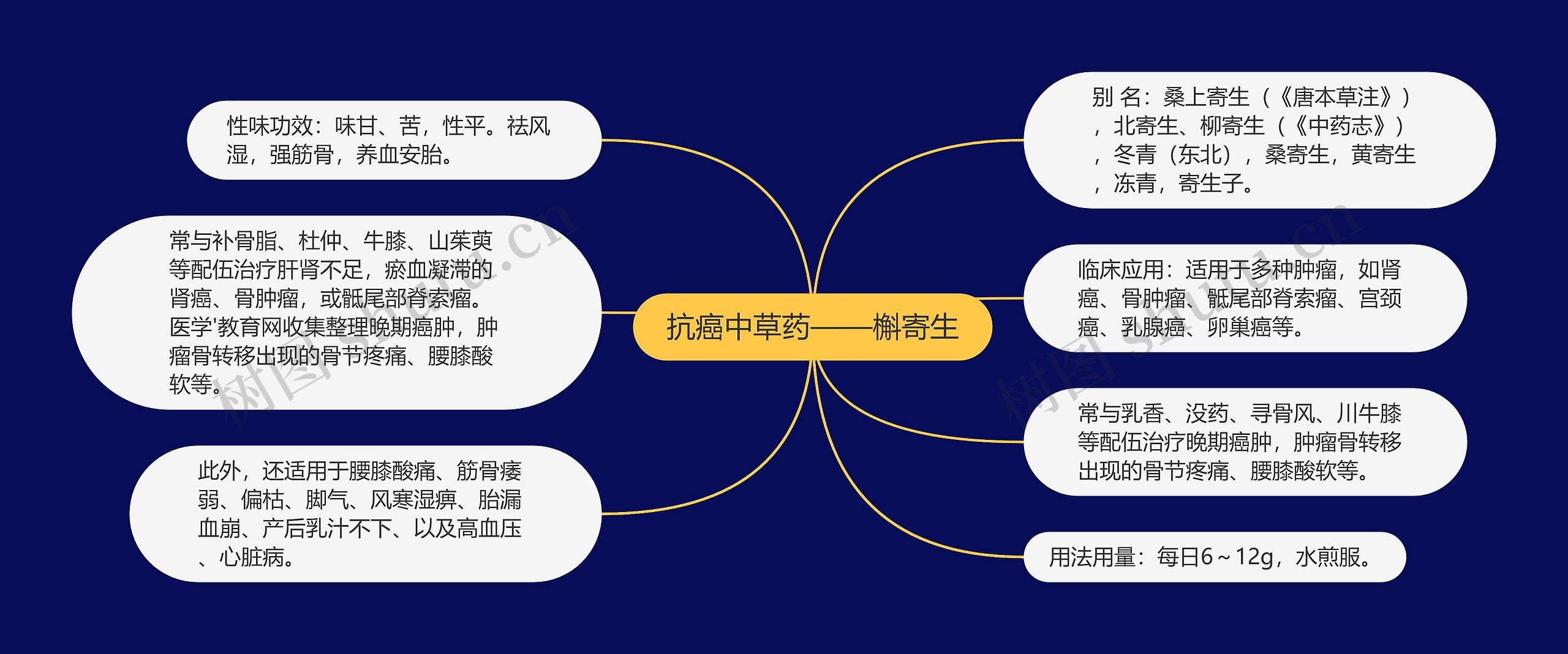 抗癌中草药——槲寄生思维导图