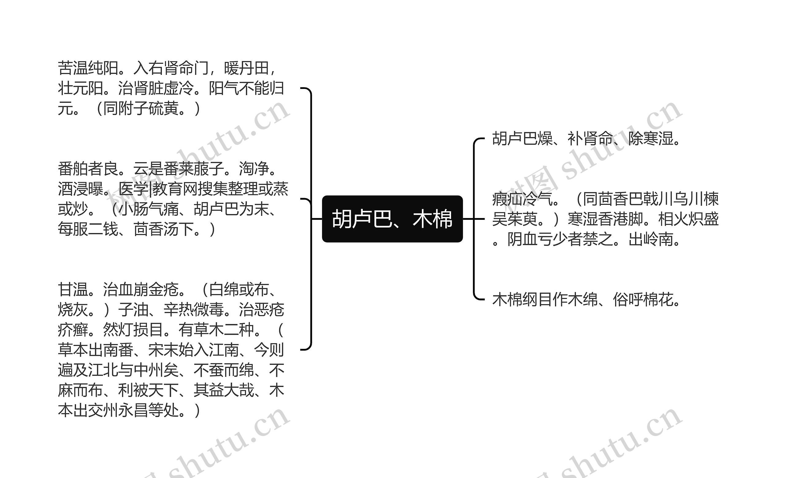 胡卢巴、木棉思维导图