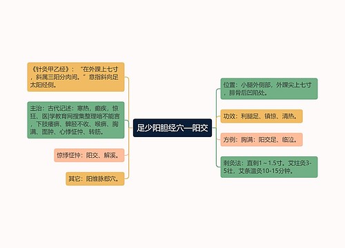 足少阳胆经穴—阳交