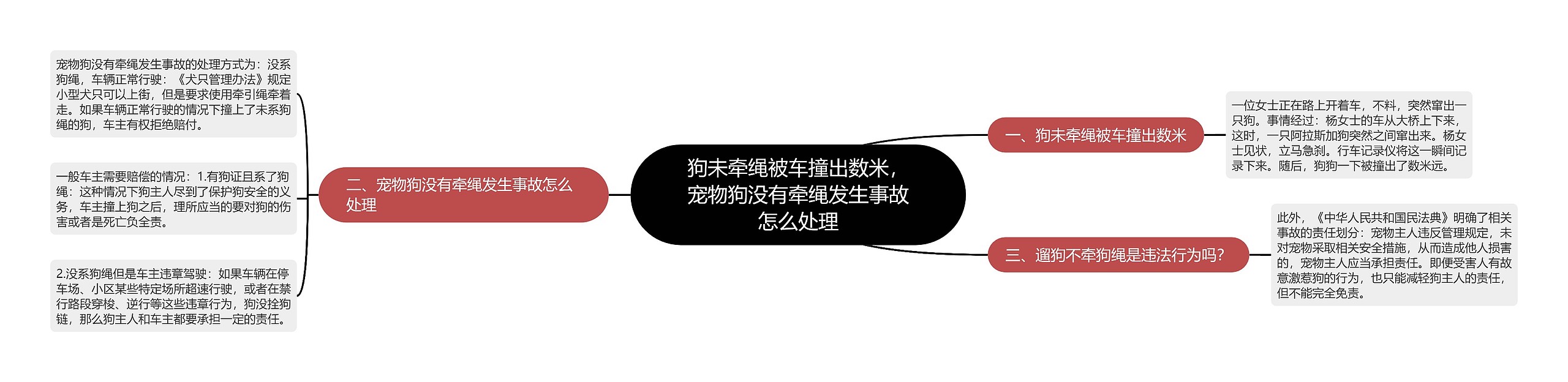 狗未牵绳被车撞出数米，宠物狗没有牵绳发生事故怎么处理思维导图