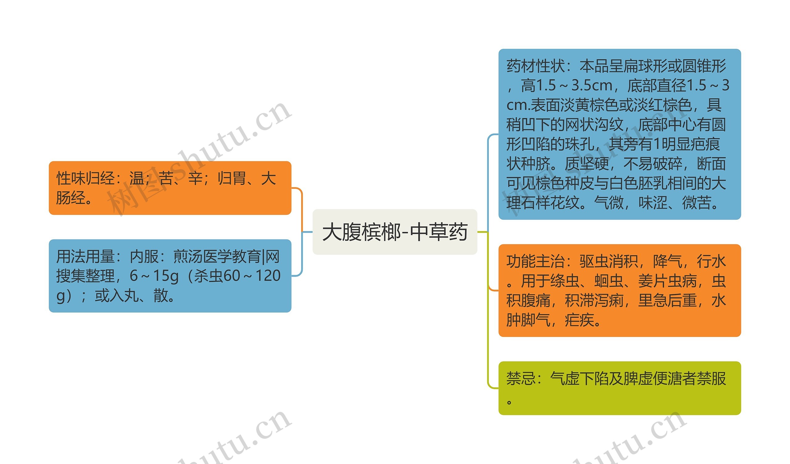 大腹槟榔-中草药思维导图