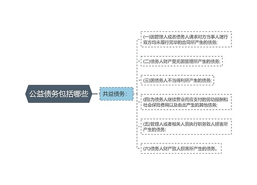 公益债务包括哪些