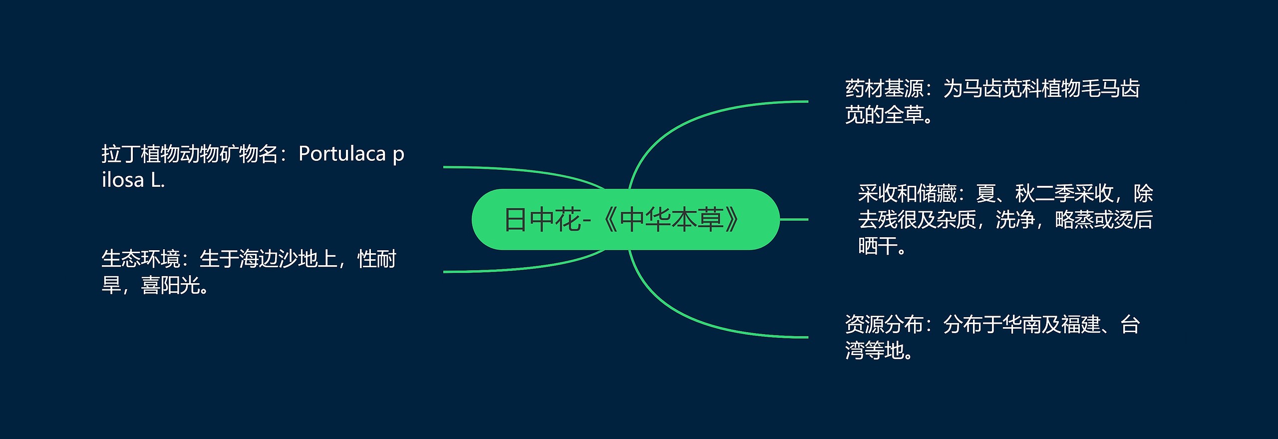 日中花-《中华本草》 日中花-《中华本草》