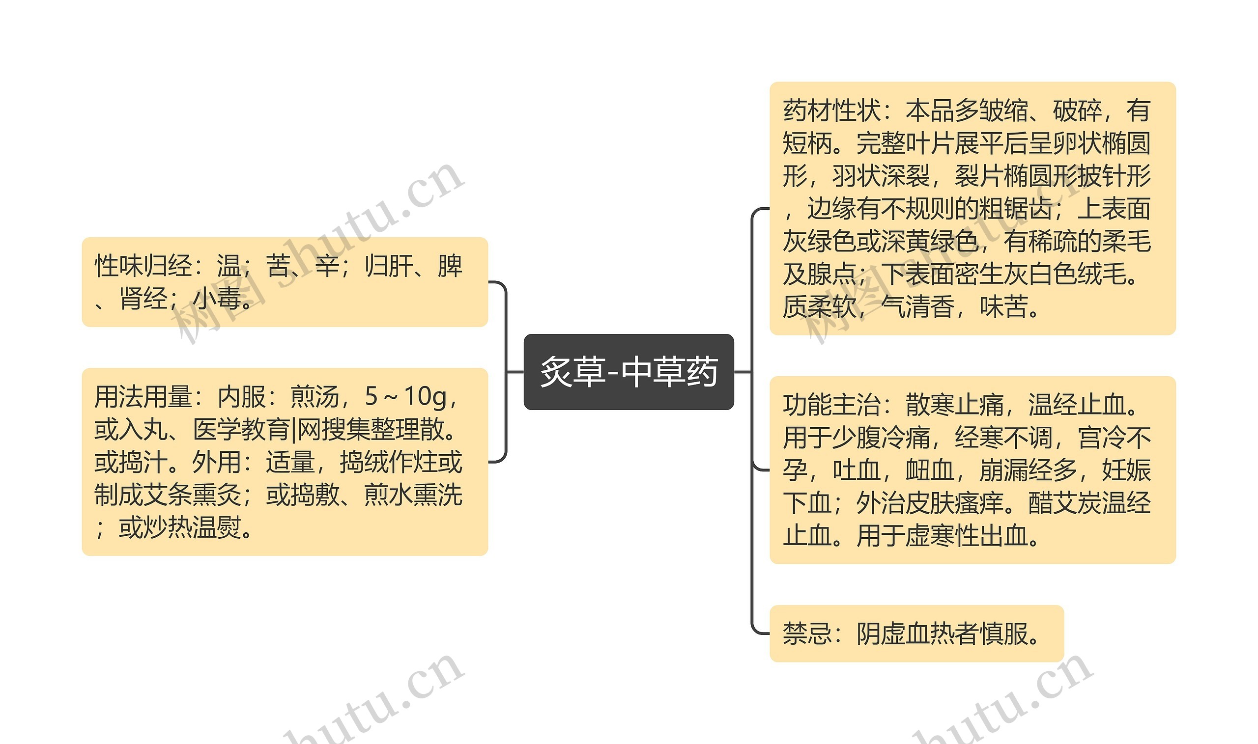 炙草-中草药思维导图