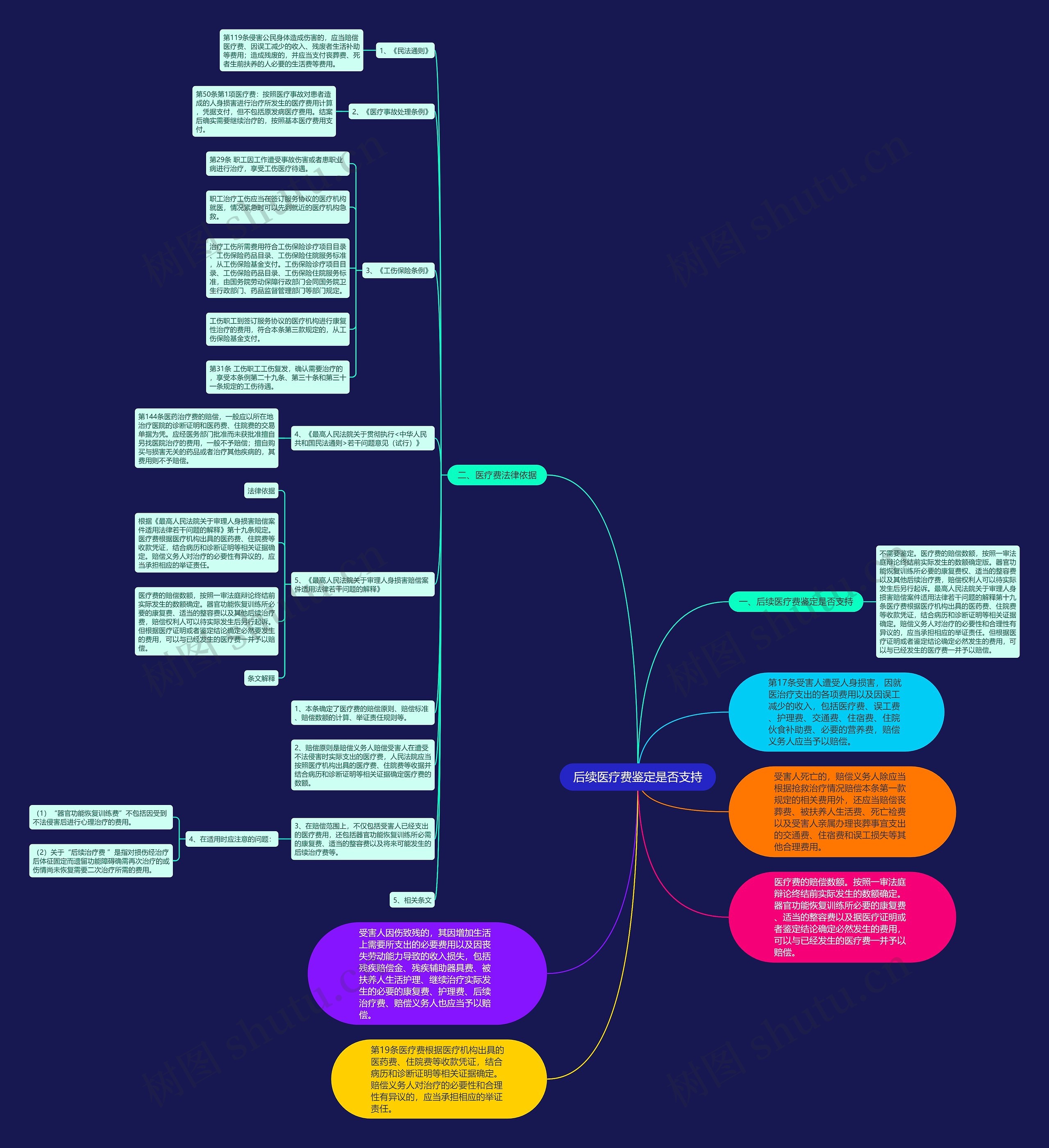 后续医疗费鉴定是否支持思维导图
