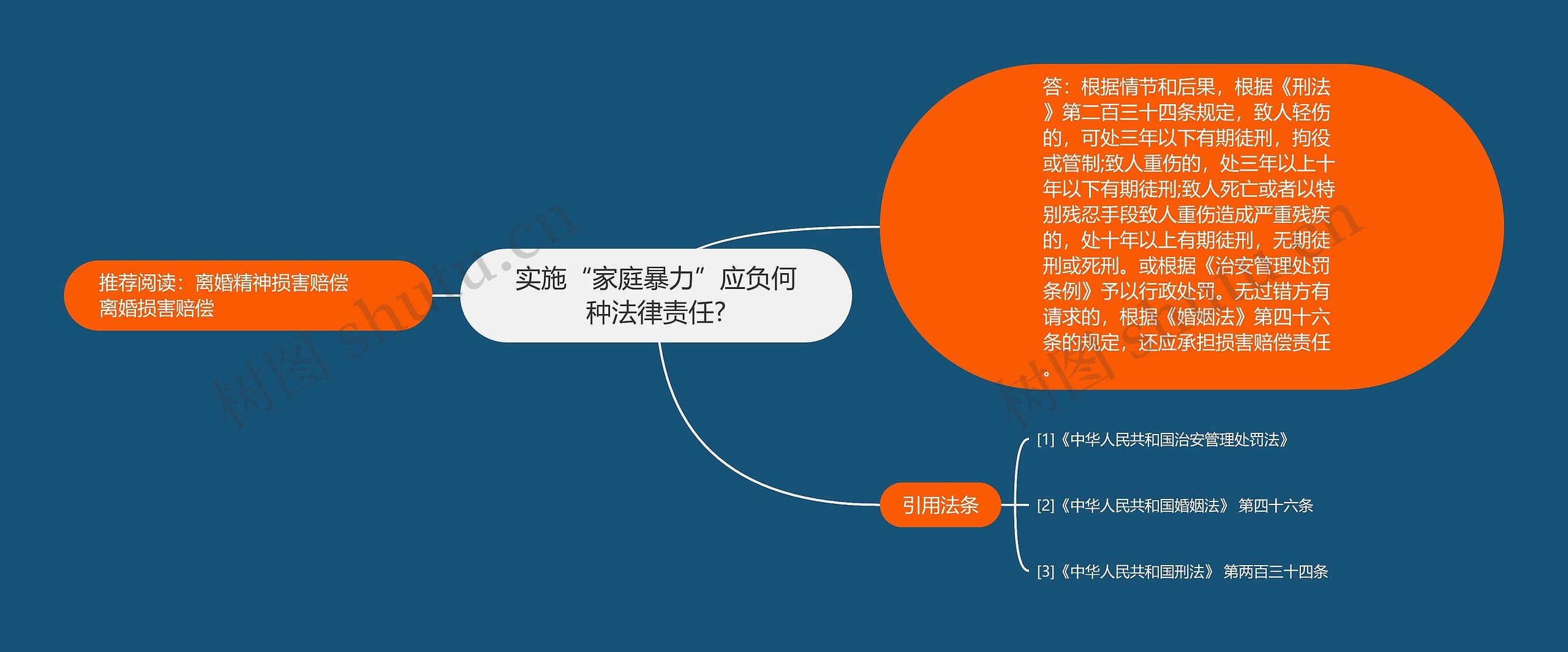 实施“家庭暴力”应负何种法律责任?思维导图