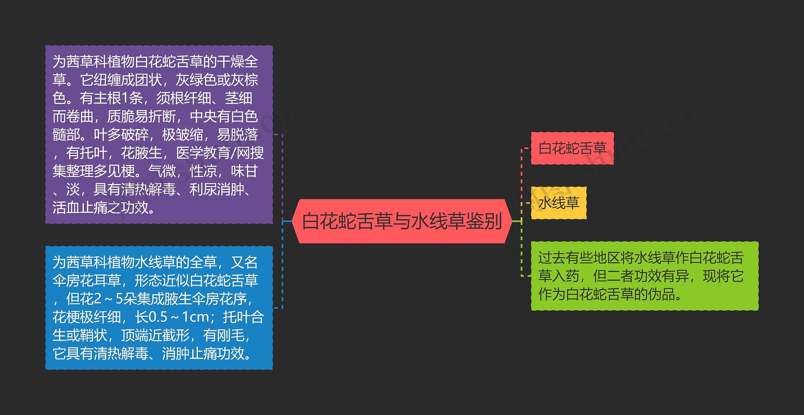 白花蛇舌草与水线草鉴别