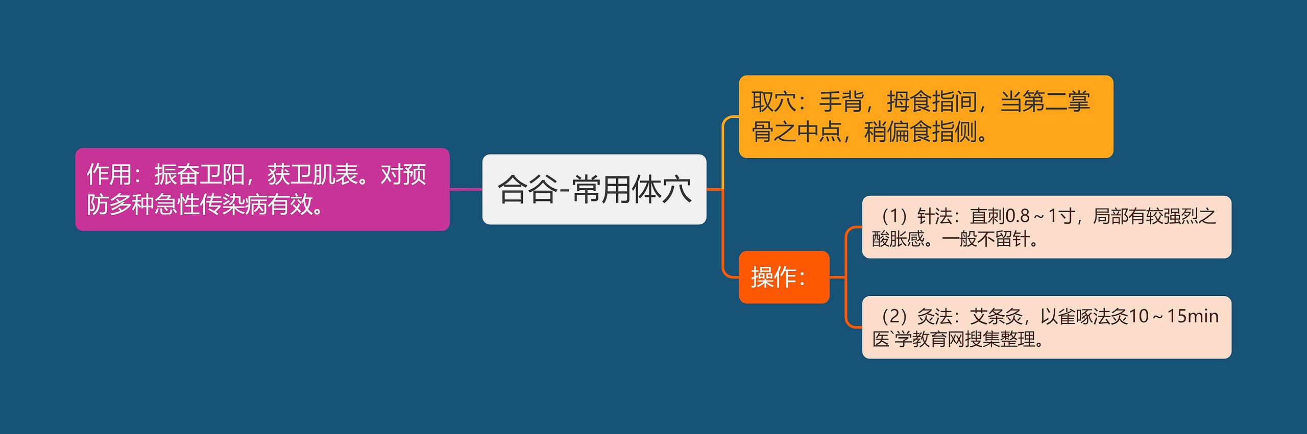 合谷-常用体穴 合谷-常用体穴