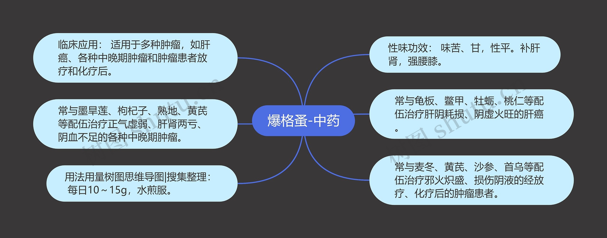 爆格蚤-中药思维导图