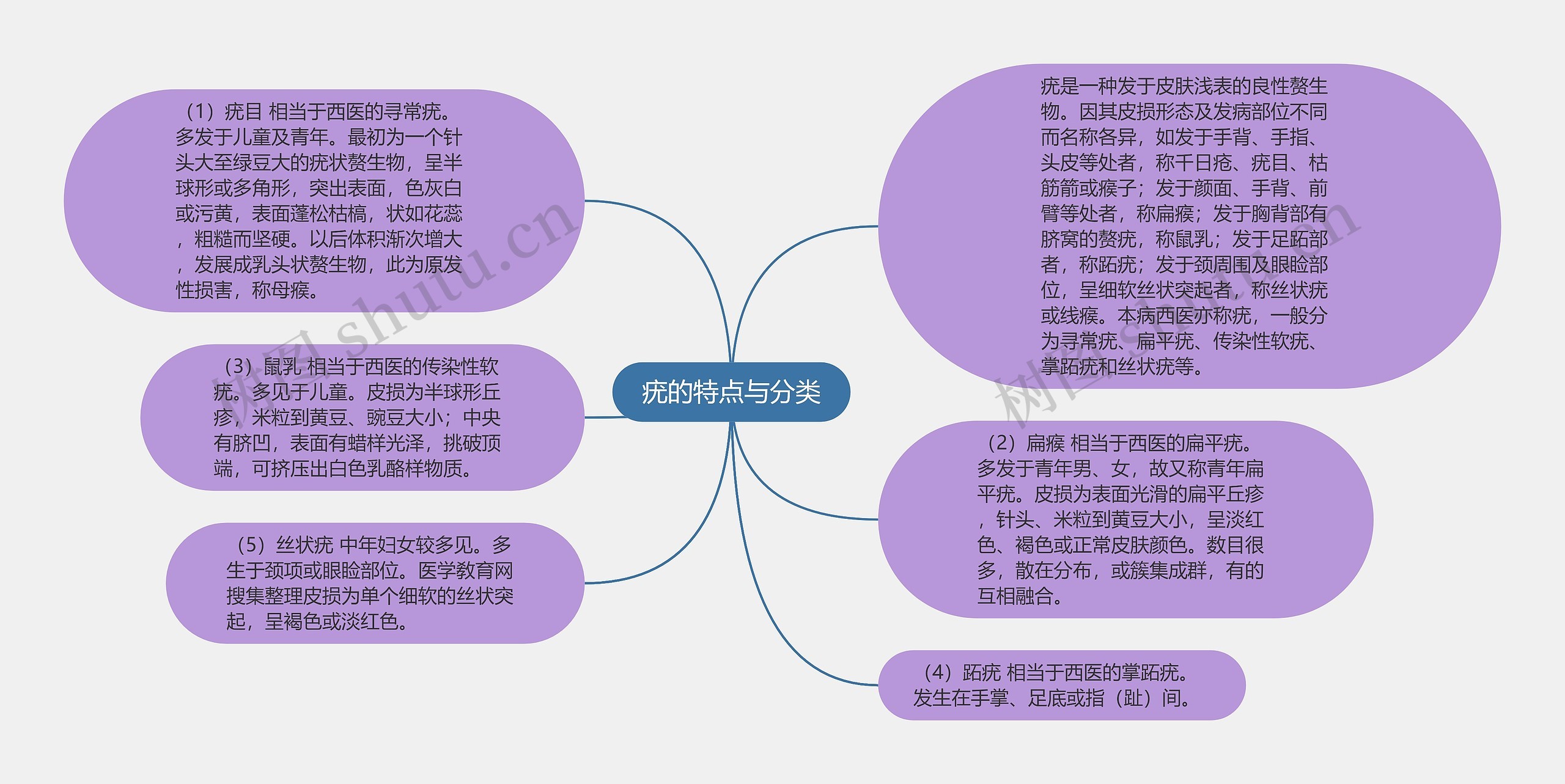 疣的特点与分类思维导图