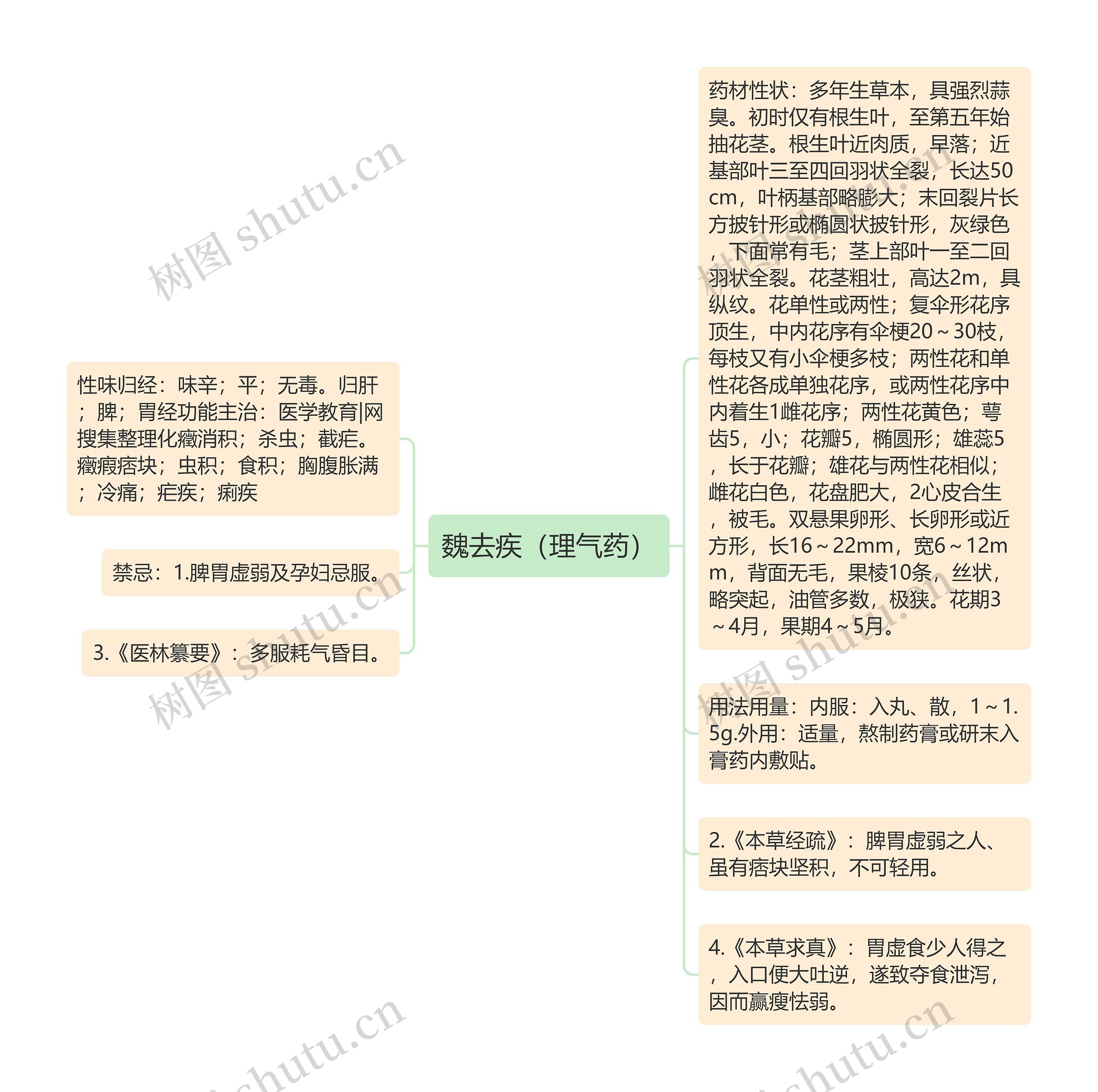 魏去疾（理气药）思维导图