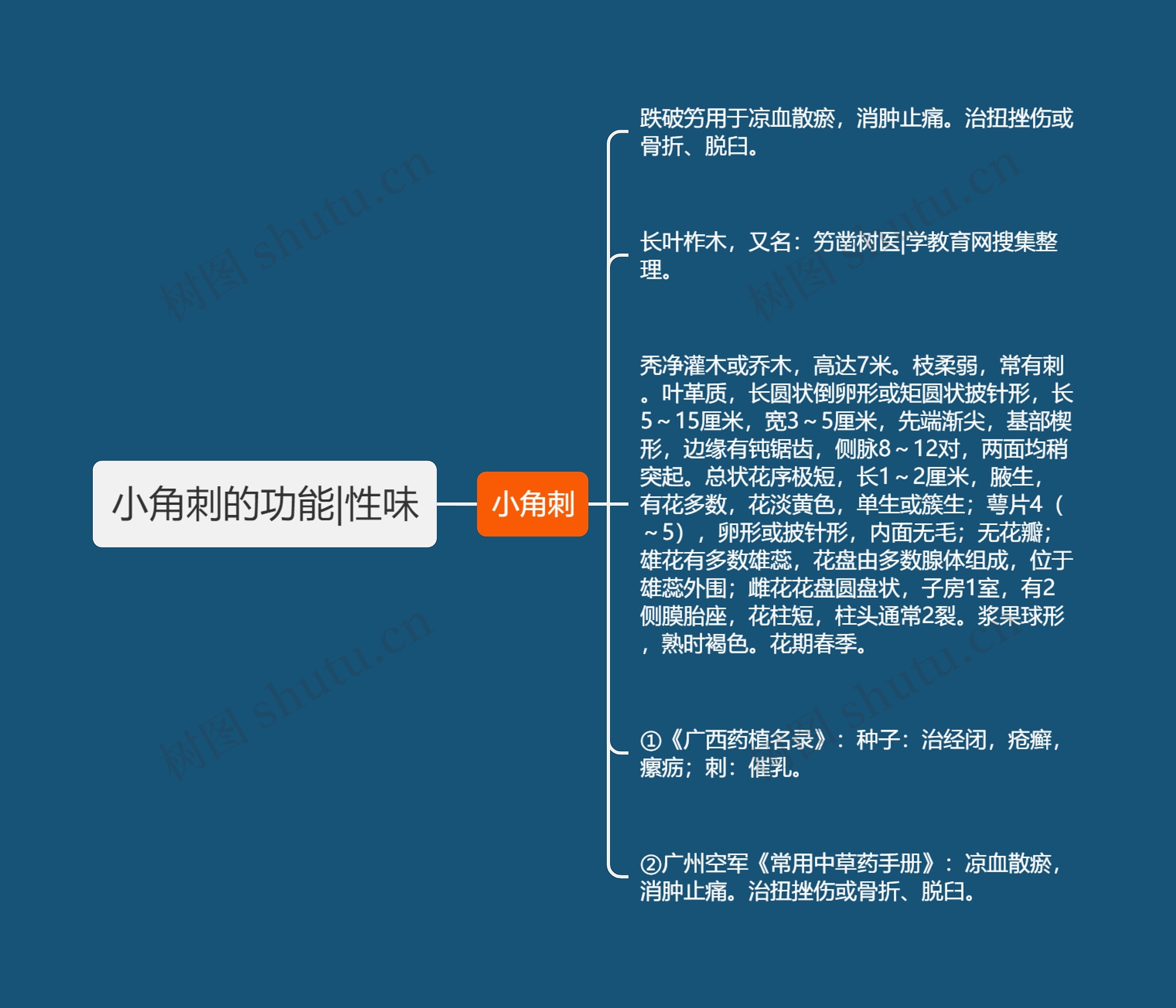 小角刺的功能|性味思维导图