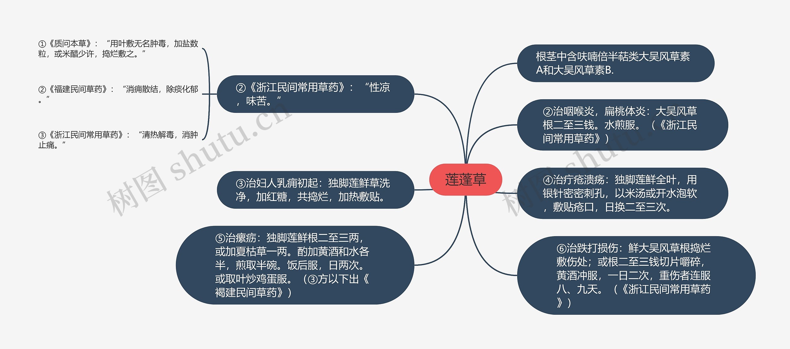 莲蓬草思维导图