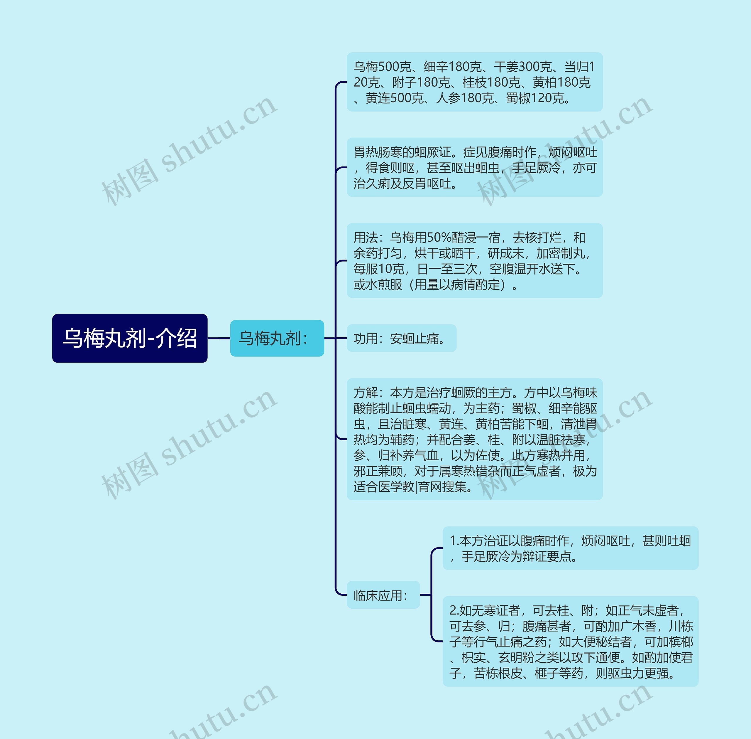 乌梅丸剂-介绍