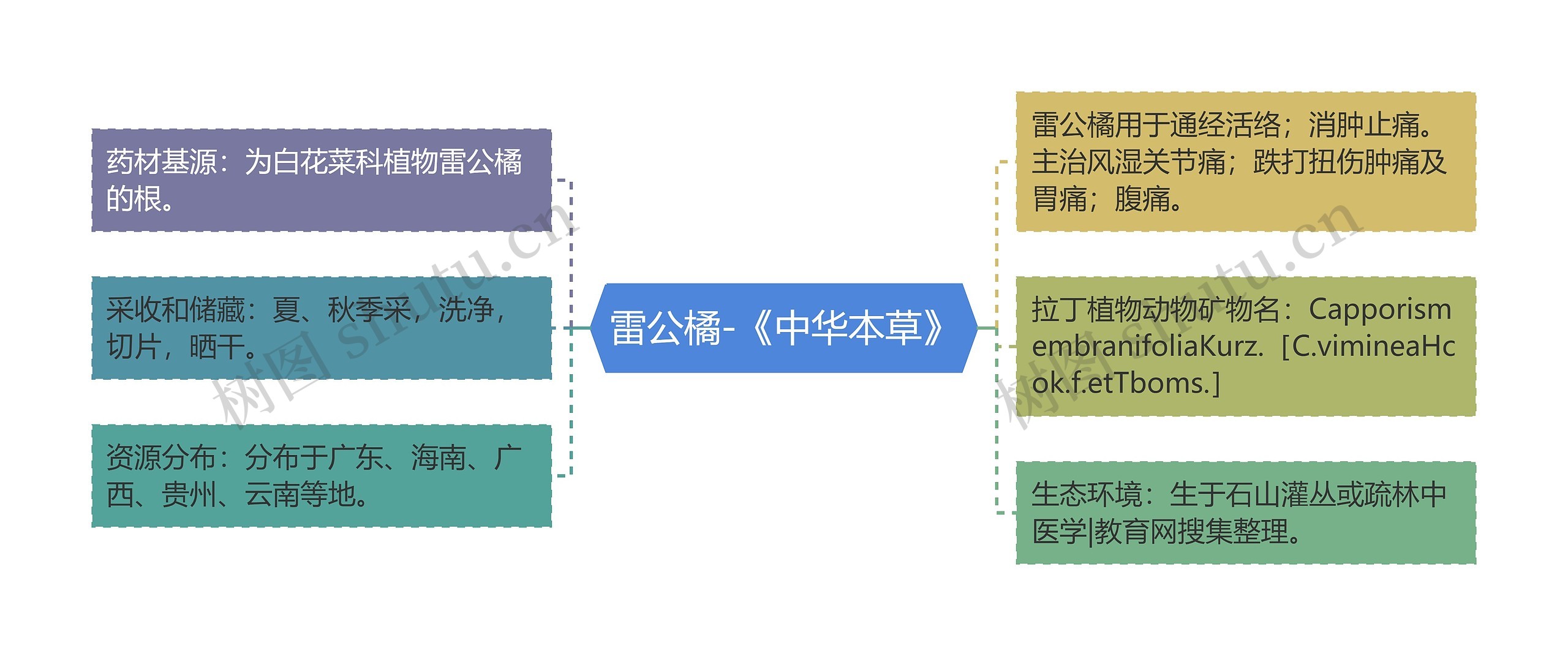 雷公橘-《中华本草》