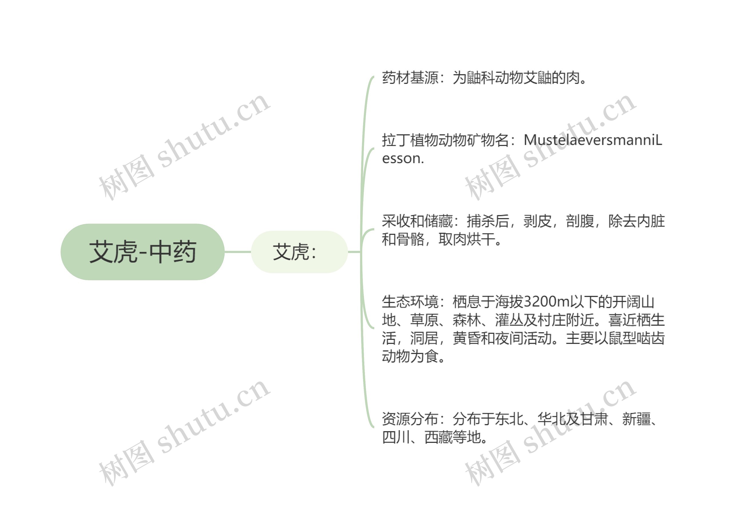 艾虎-中药 艾虎-中药