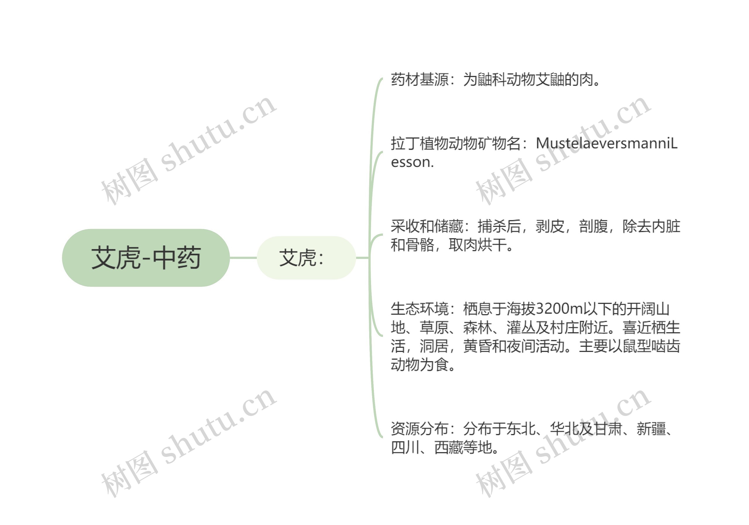 艾虎-中药思维导图
