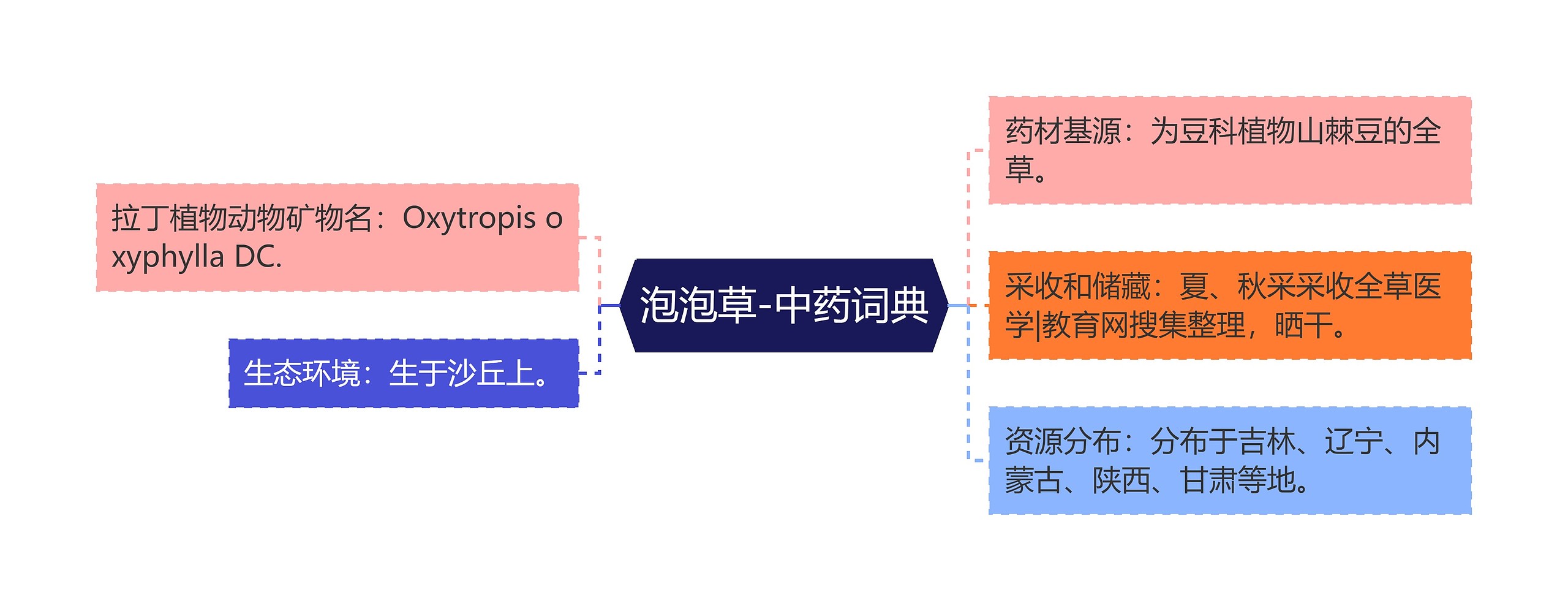 泡泡草-中药词典思维导图