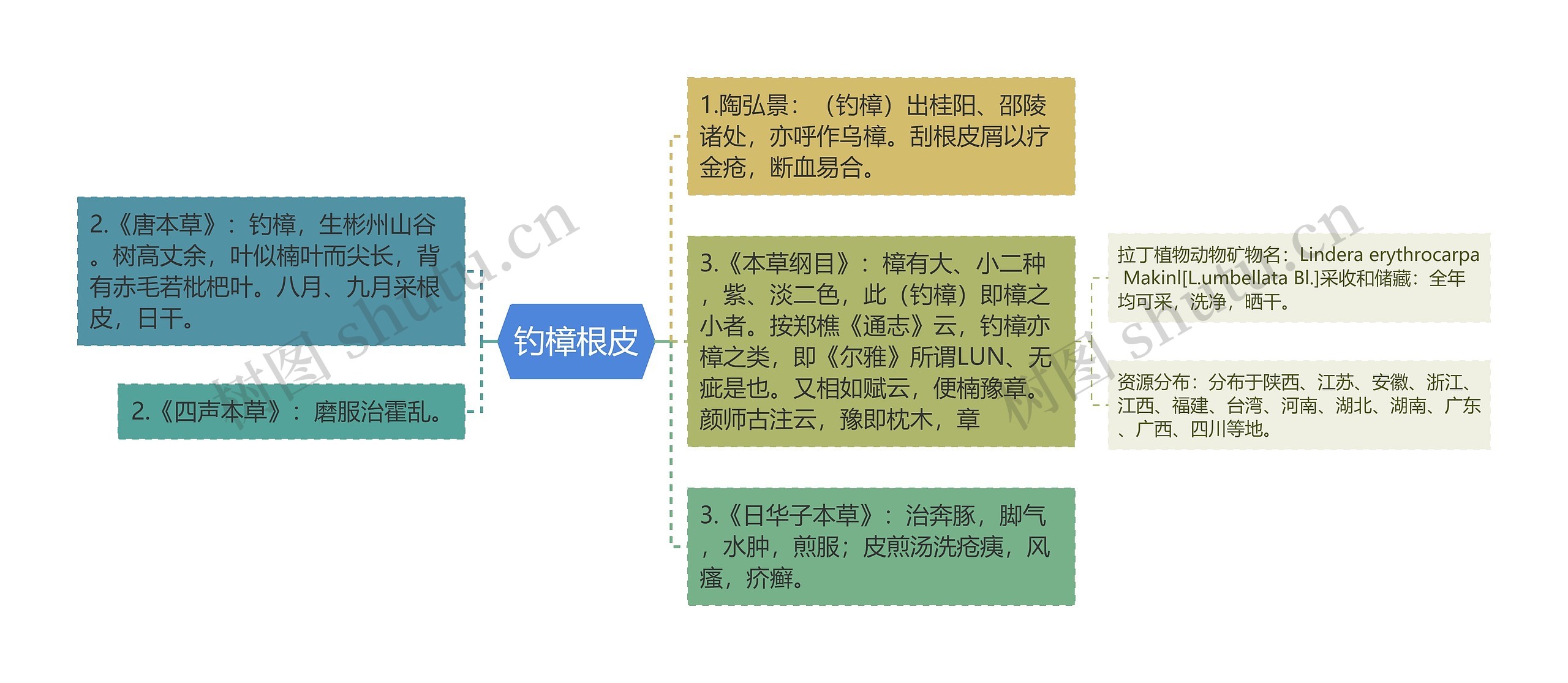 钓樟根皮思维导图