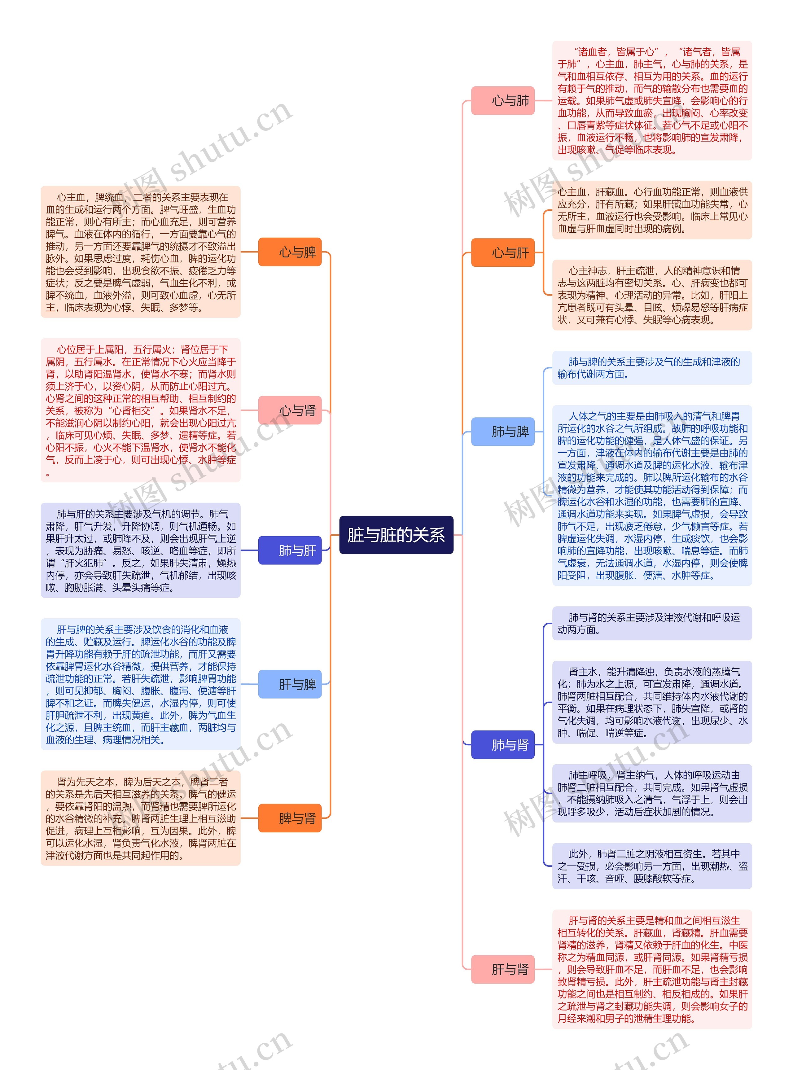 脏与脏的关系思维导图