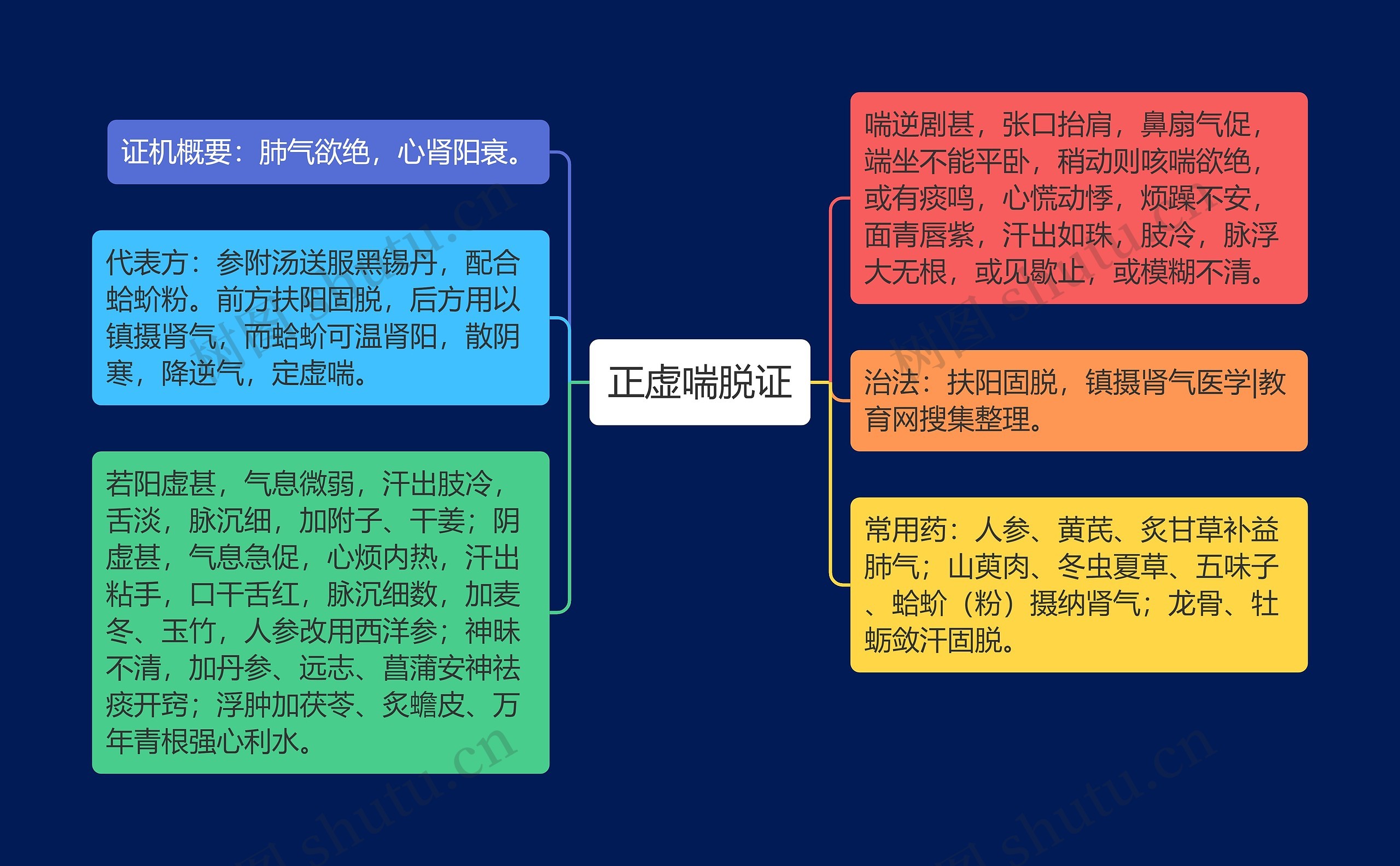 正虚喘脱证思维导图