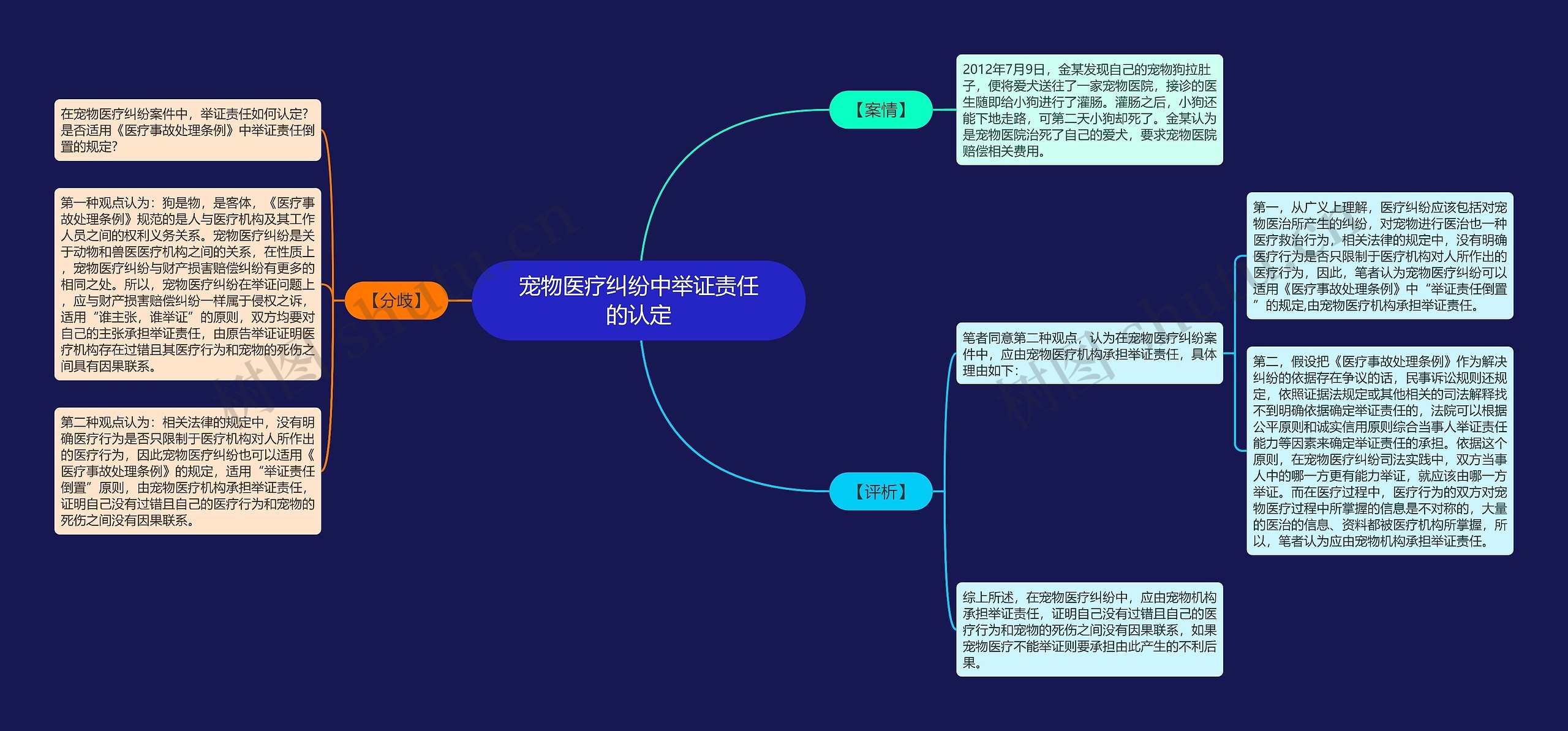 宠物医疗纠纷中举证责任的认定思维导图