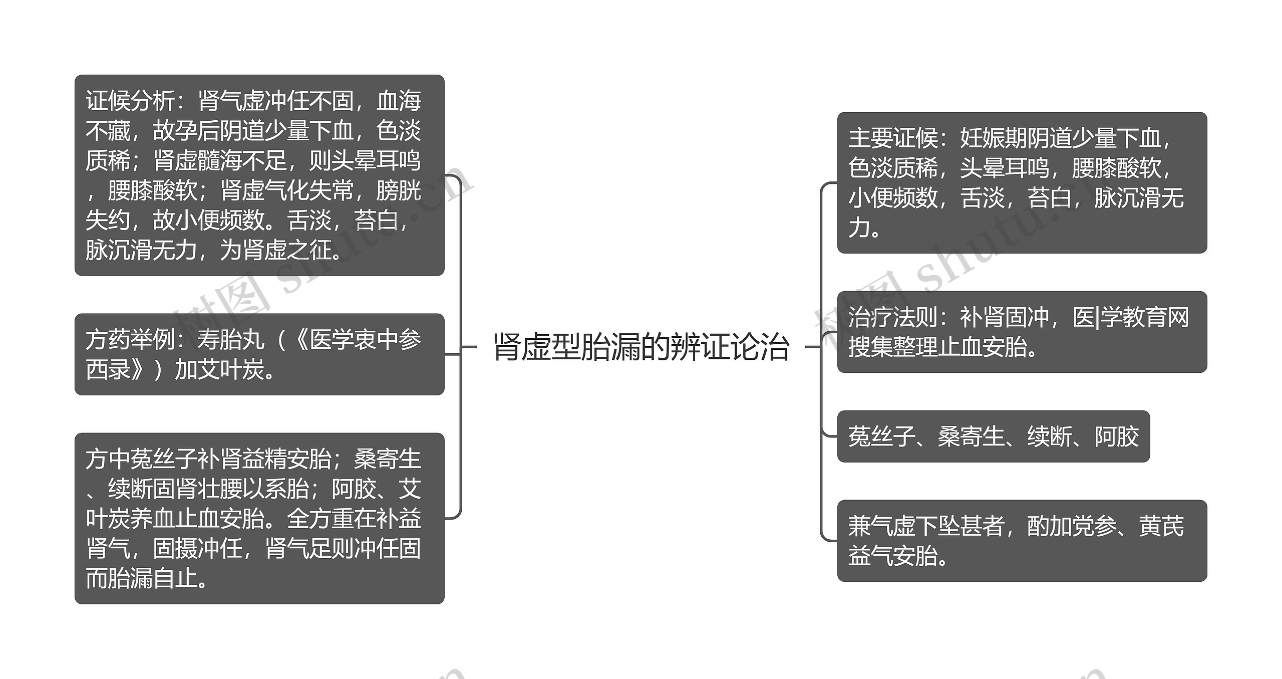 肾虚型胎漏的辨证论治思维导图