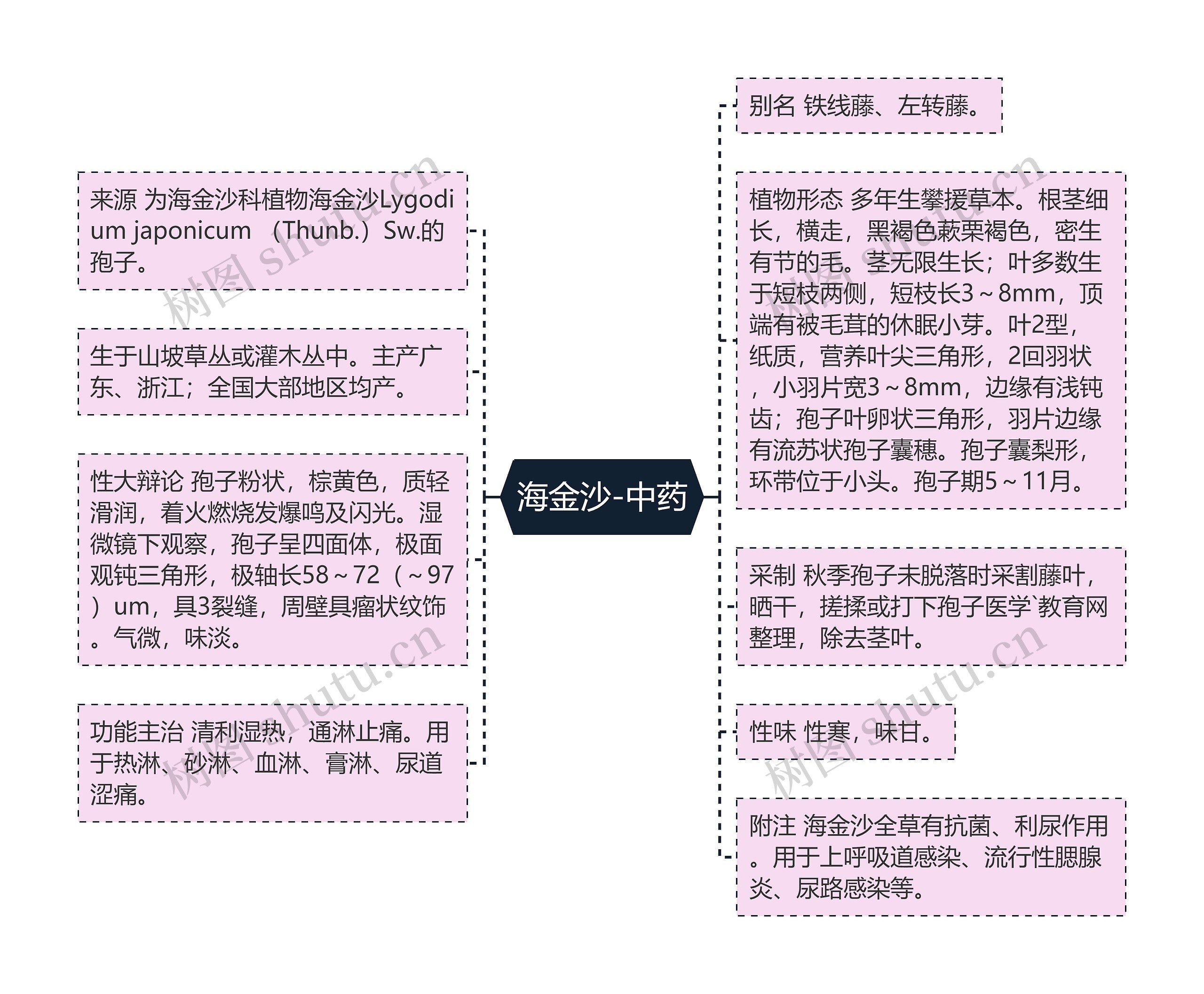 海金沙-中药思维导图