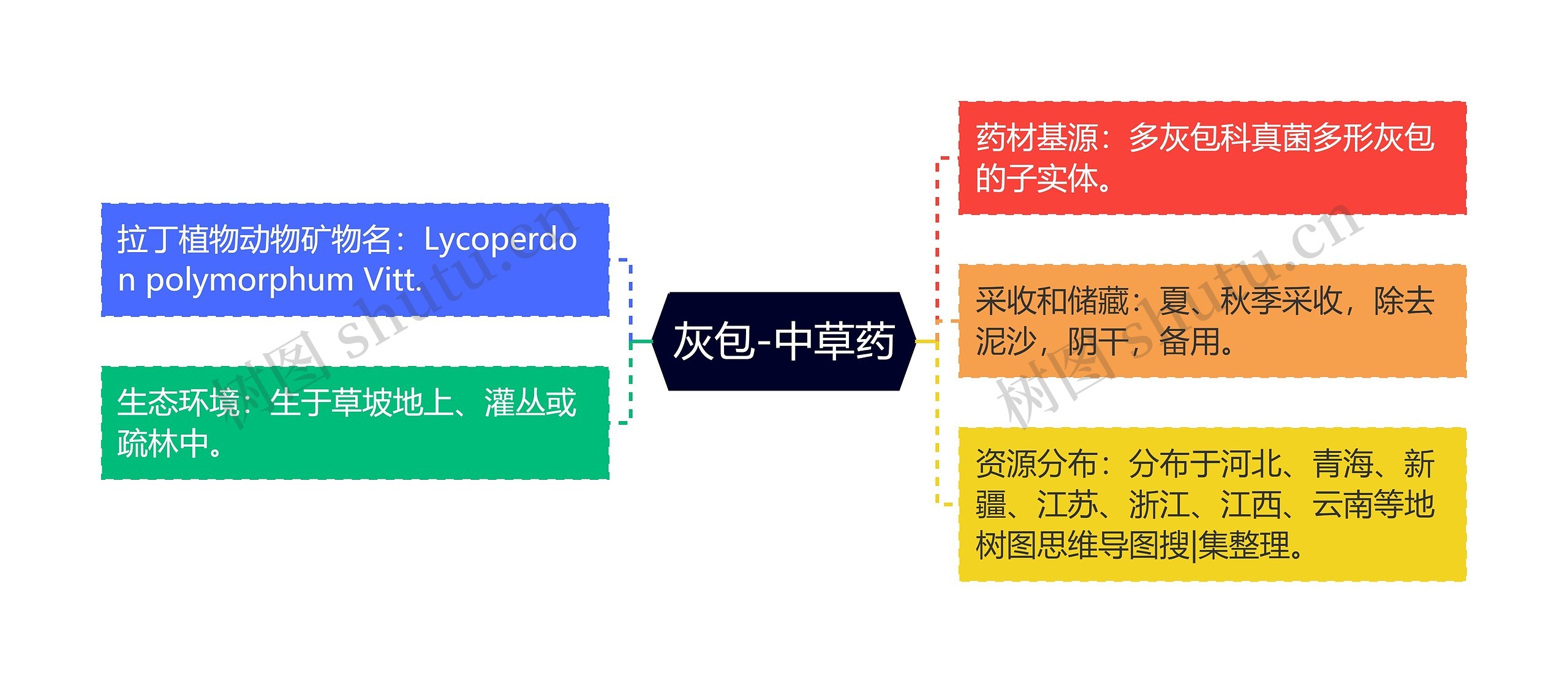 灰包-中草药思维导图