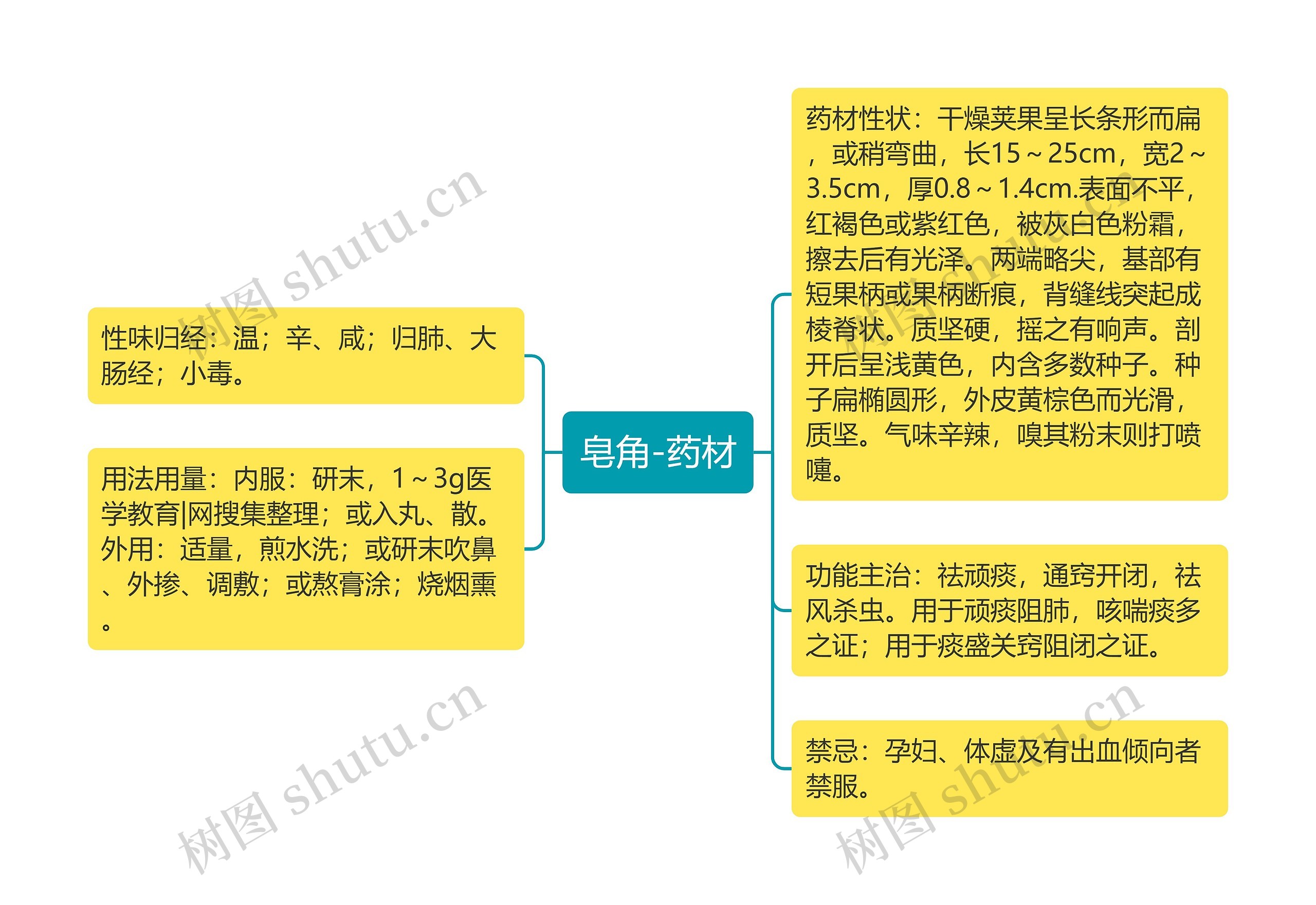 皂角-药材思维导图