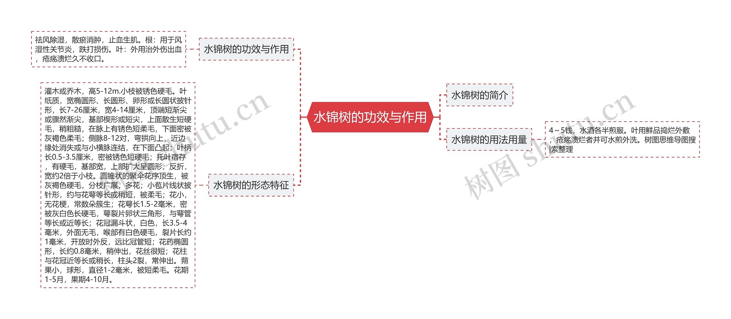 水锦树的功效与作用思维导图